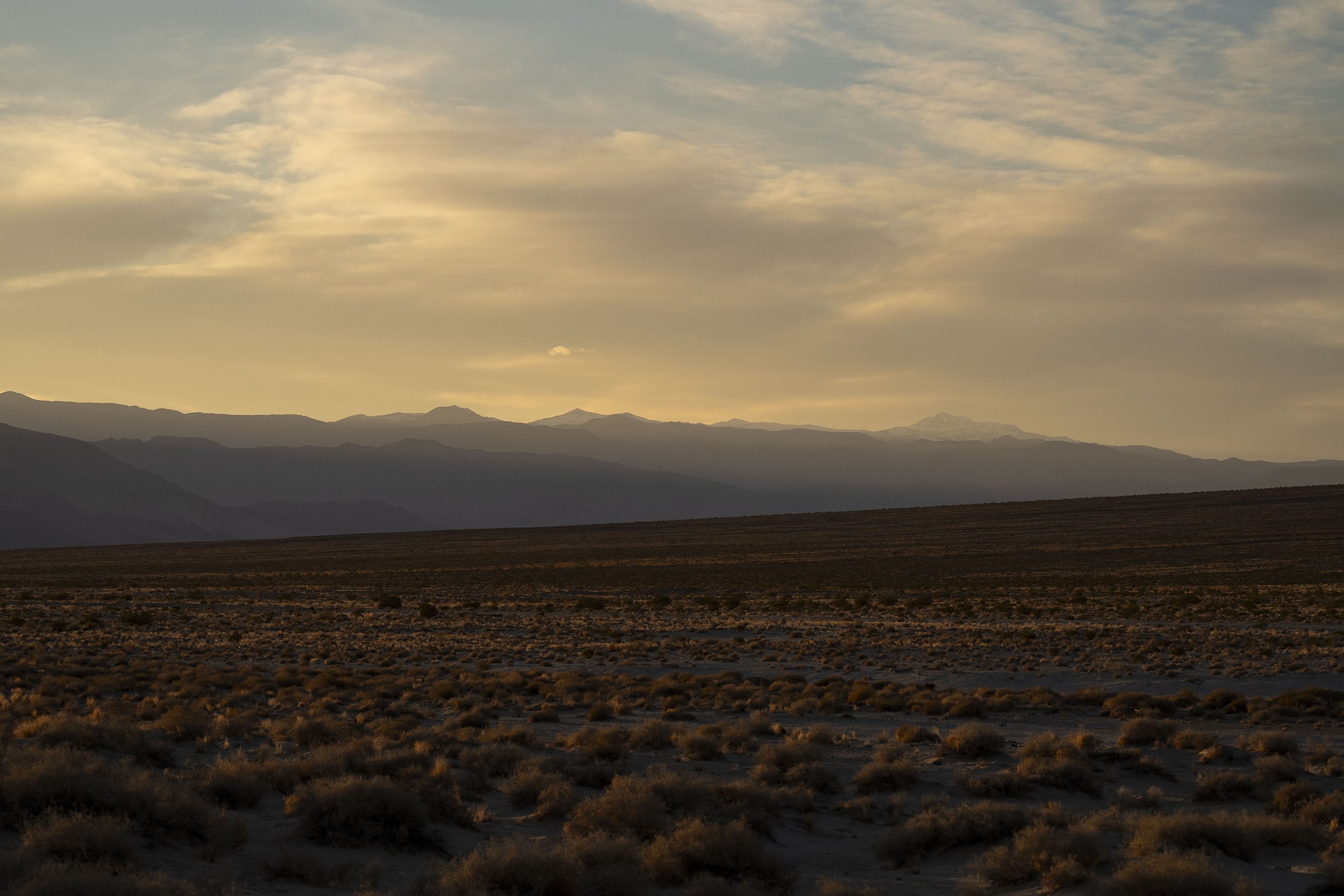dunes _23.jpeg