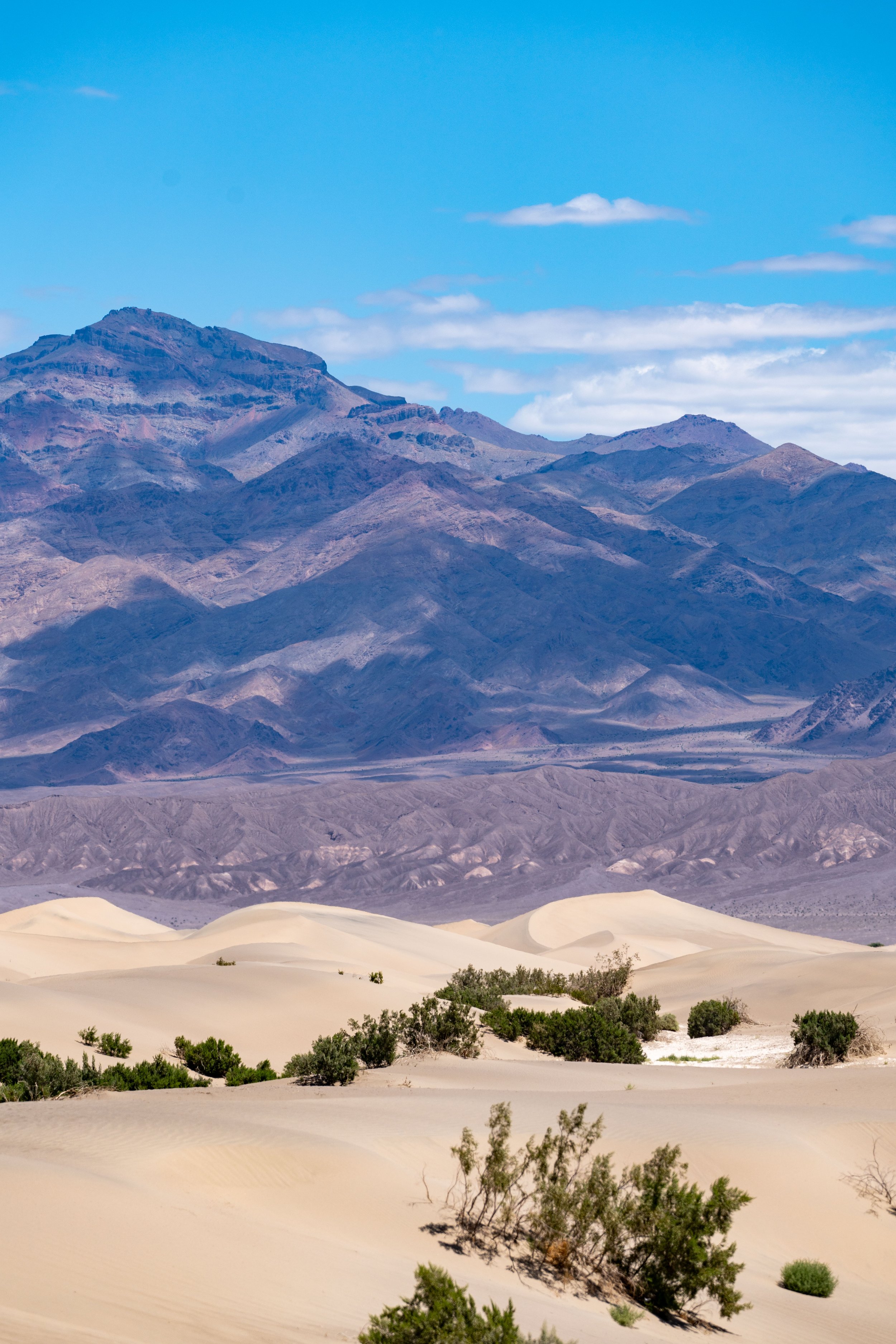 dunes 11.jpeg