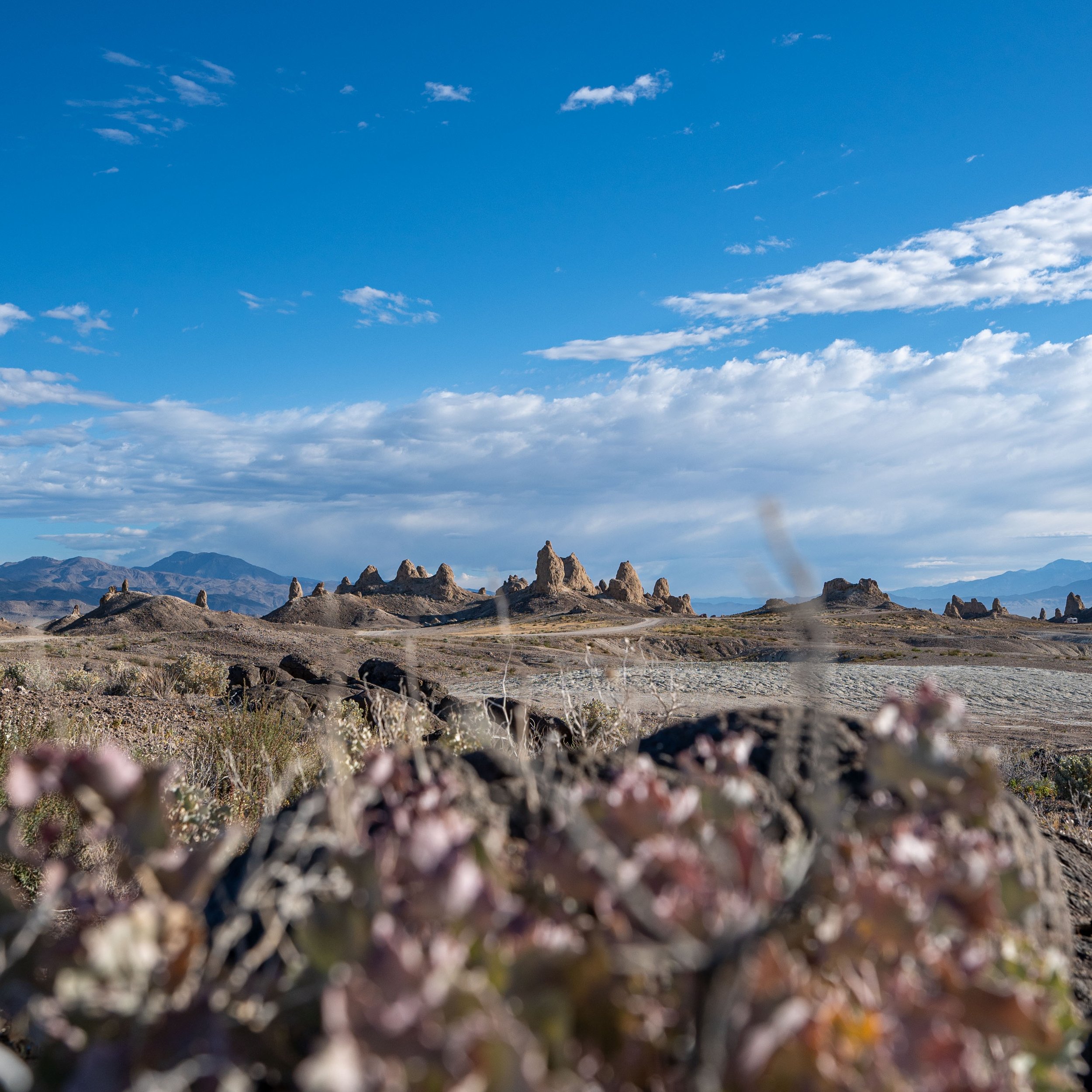 trona 3.jpeg