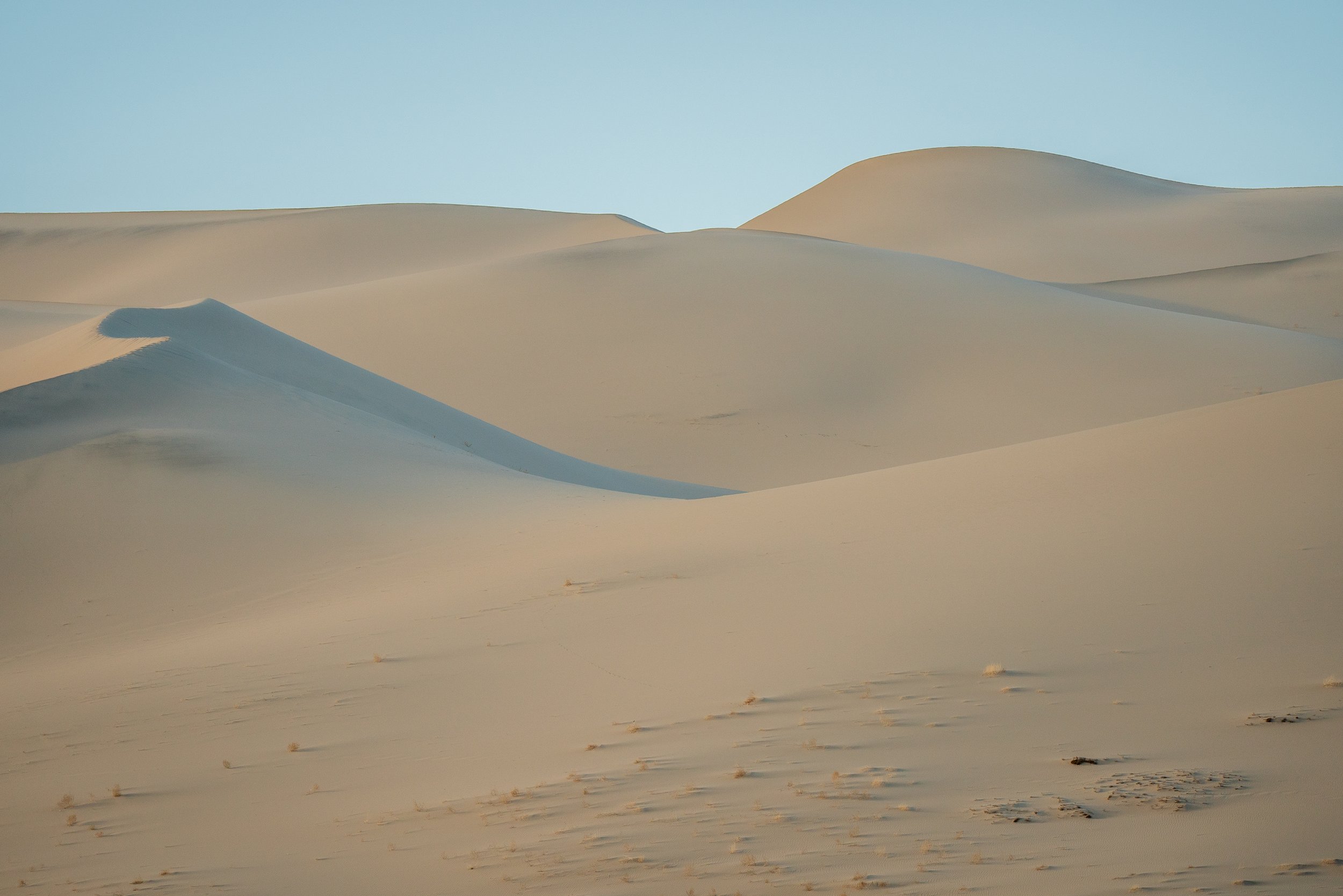 _DSC9350.jpeg