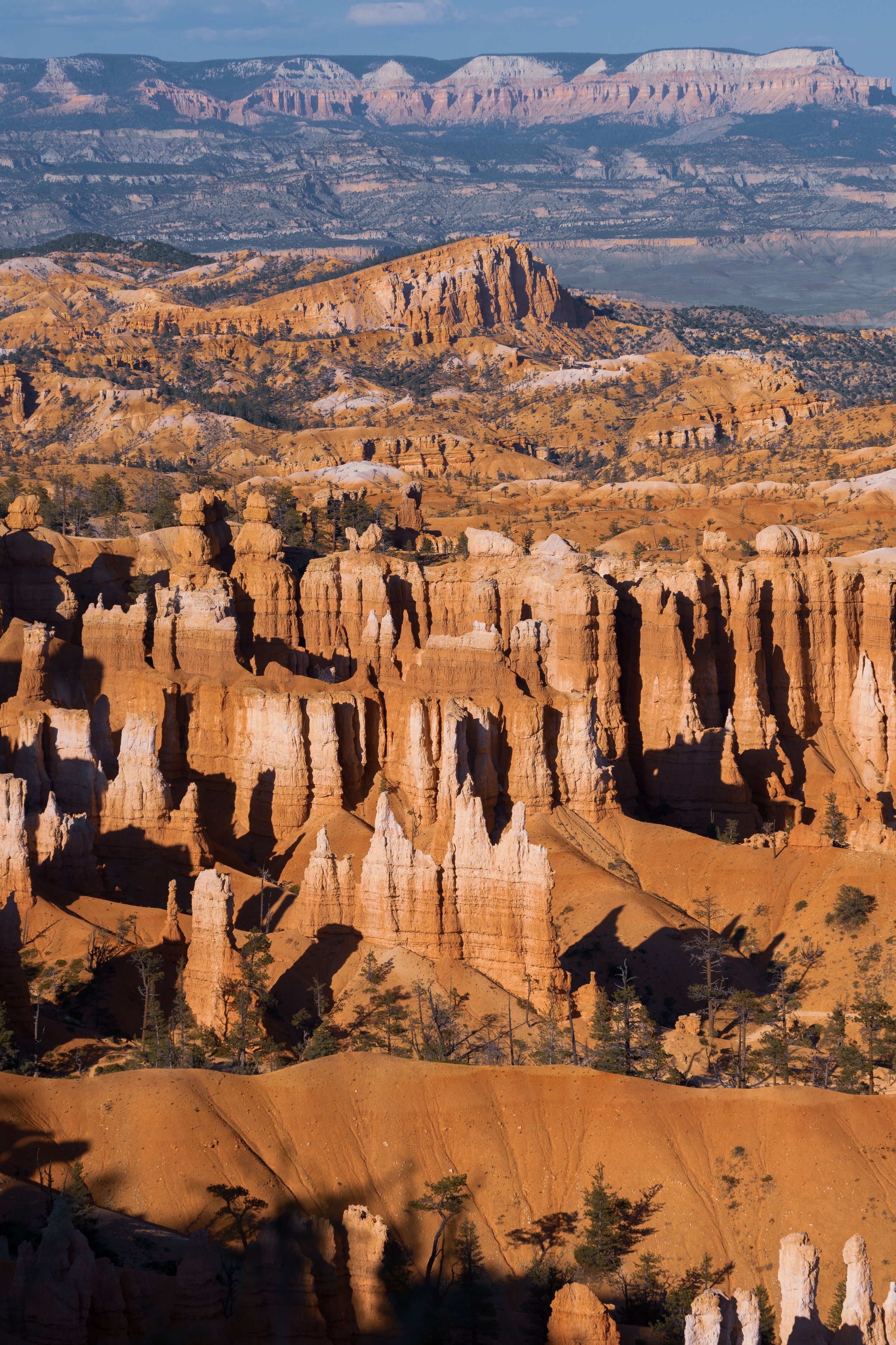 zion bryce 6.jpeg