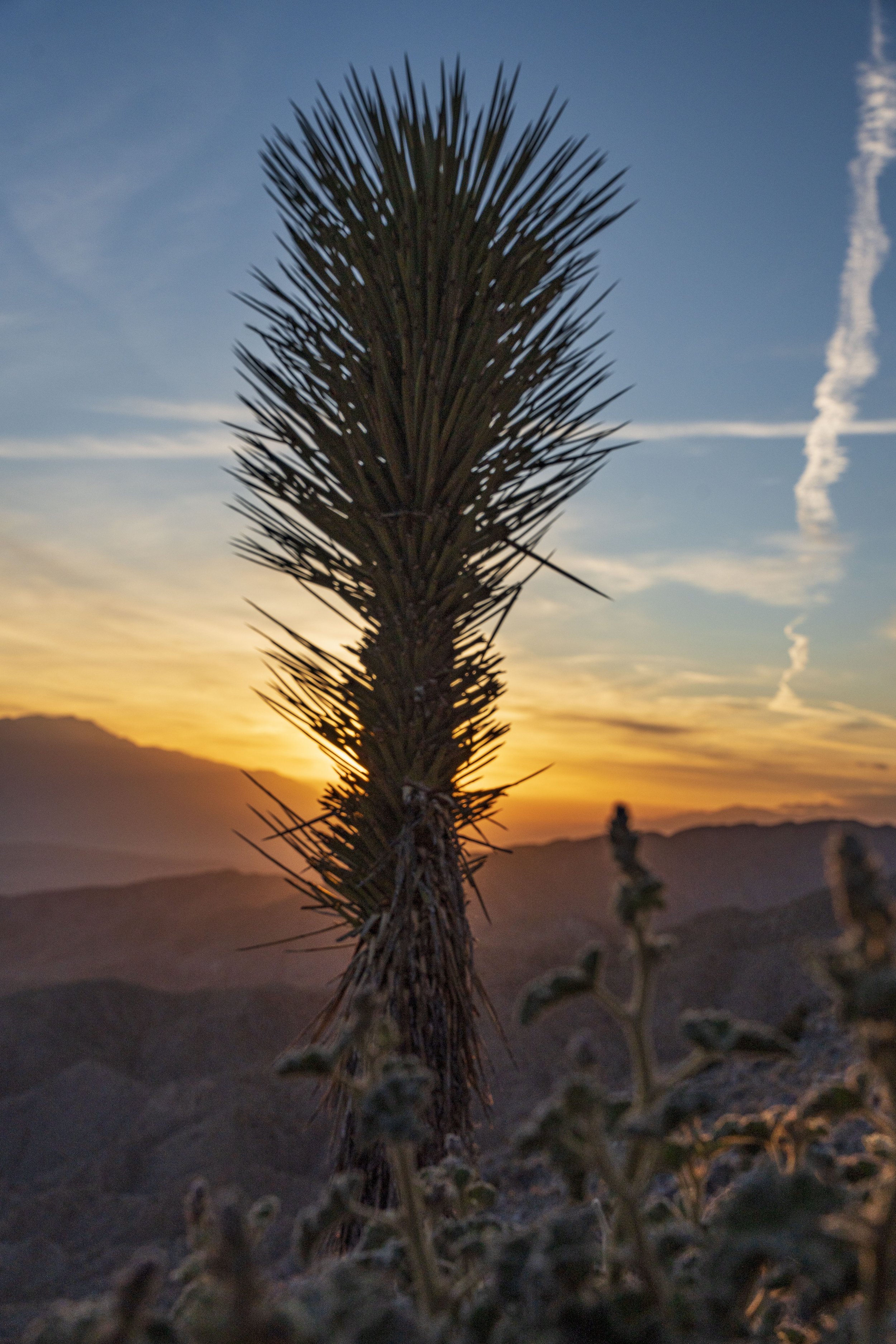 keys view sunset 5.jpeg