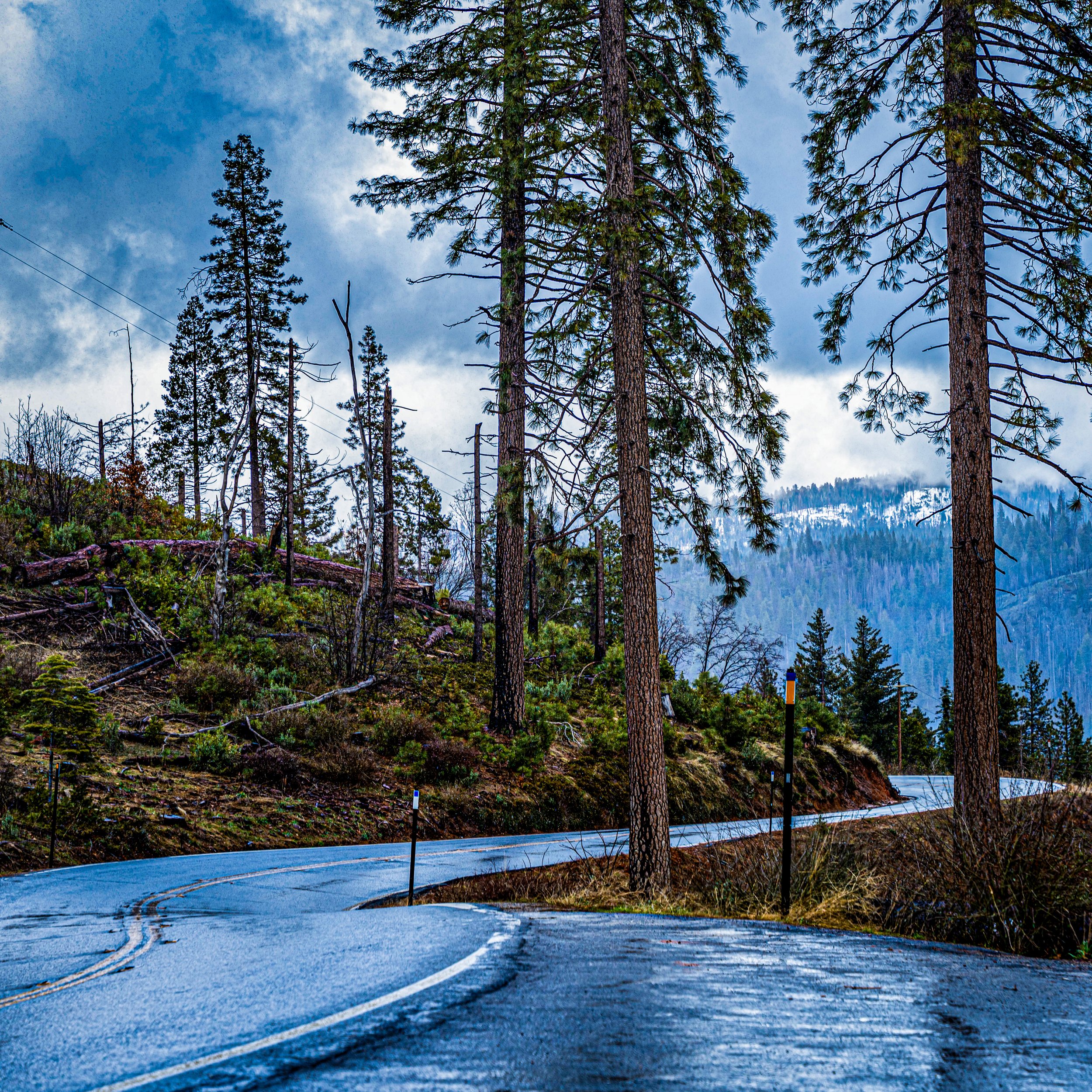 yosemite .jpeg