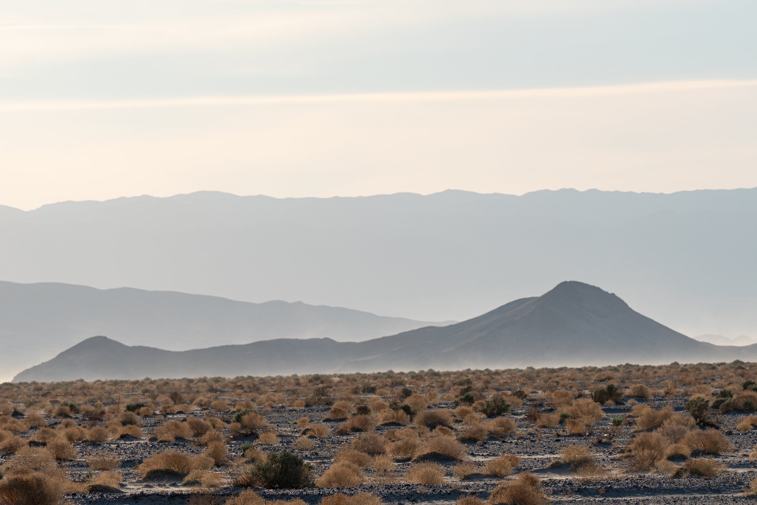 _DSC9390.jpeg