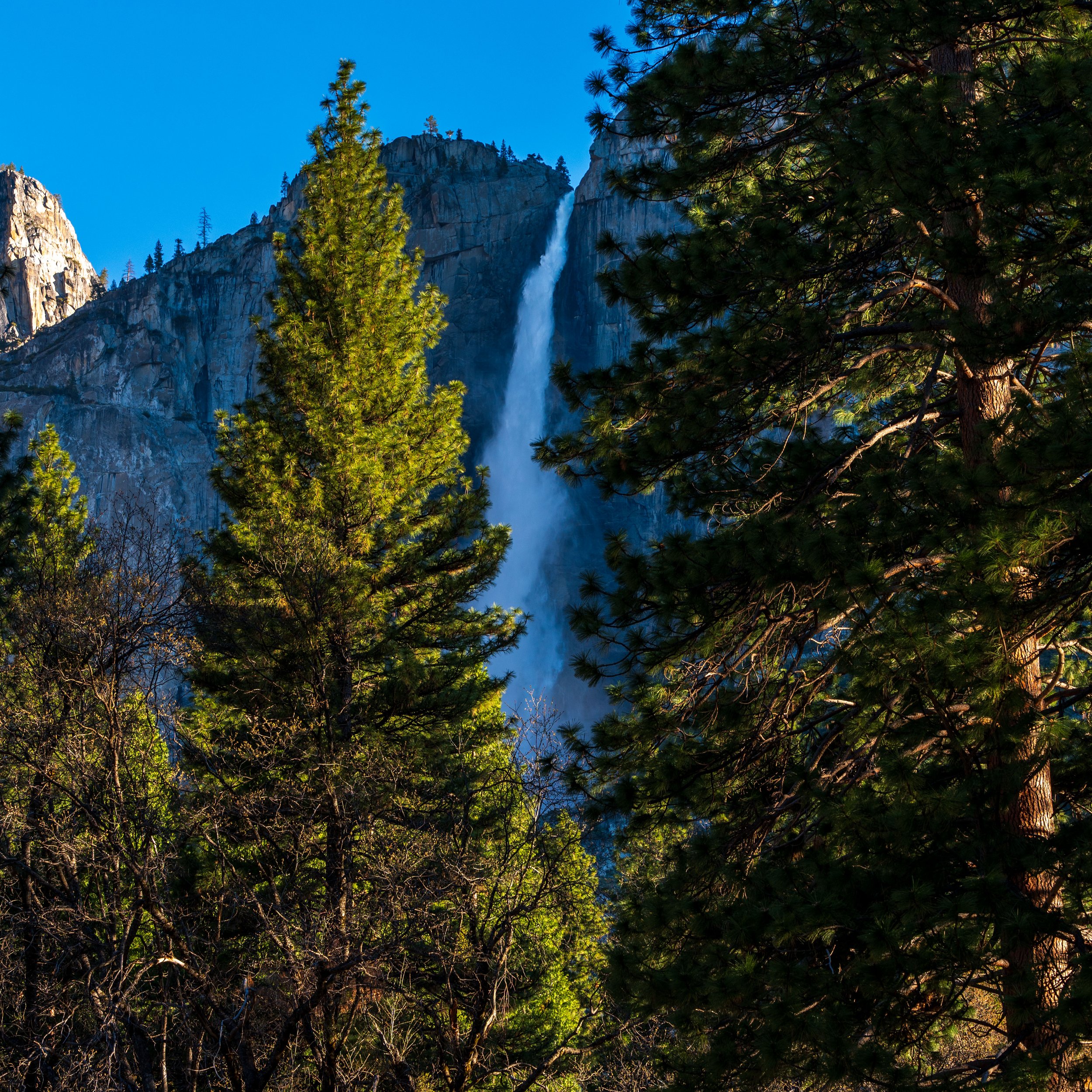 yosemite 12.jpeg