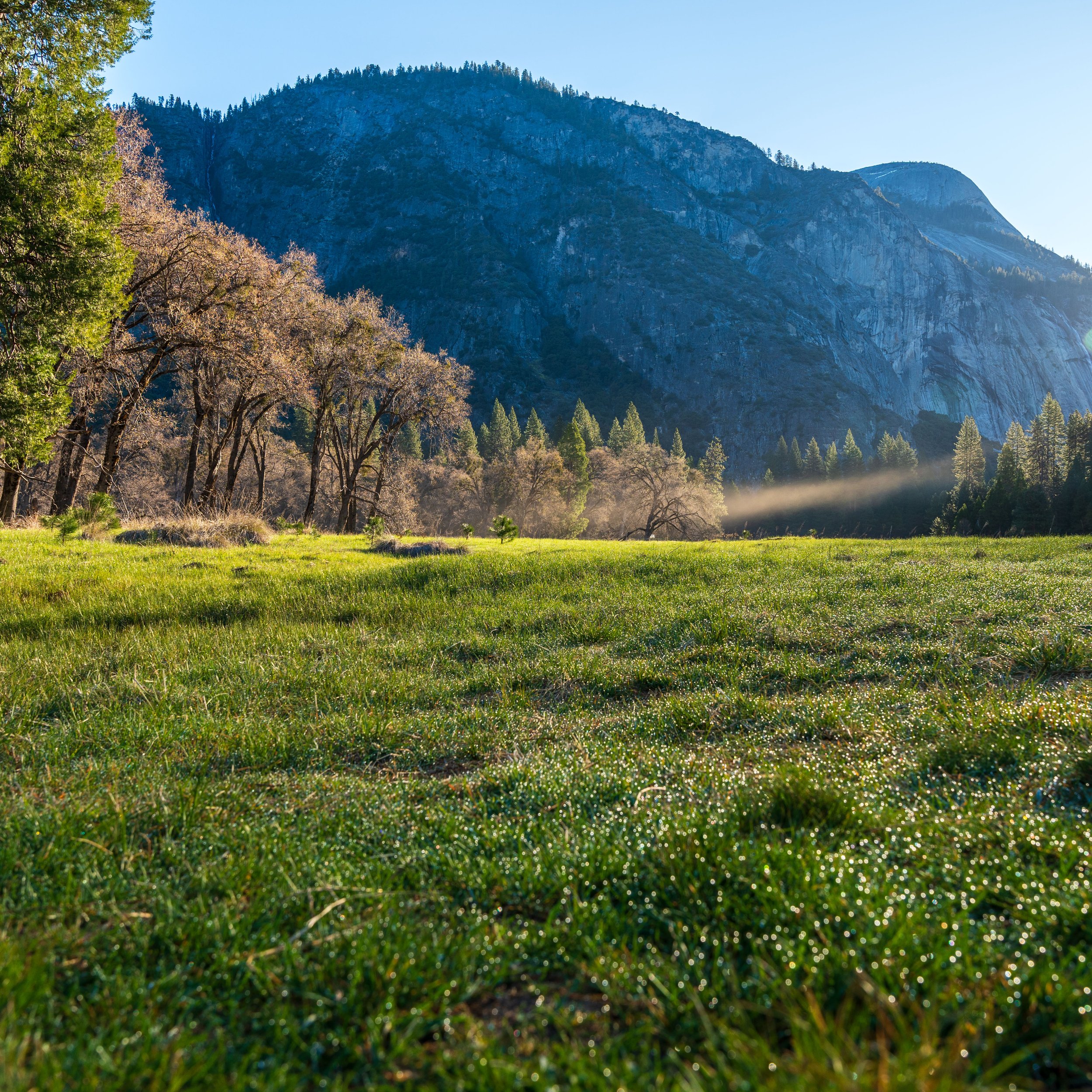 yosemite 11.jpeg