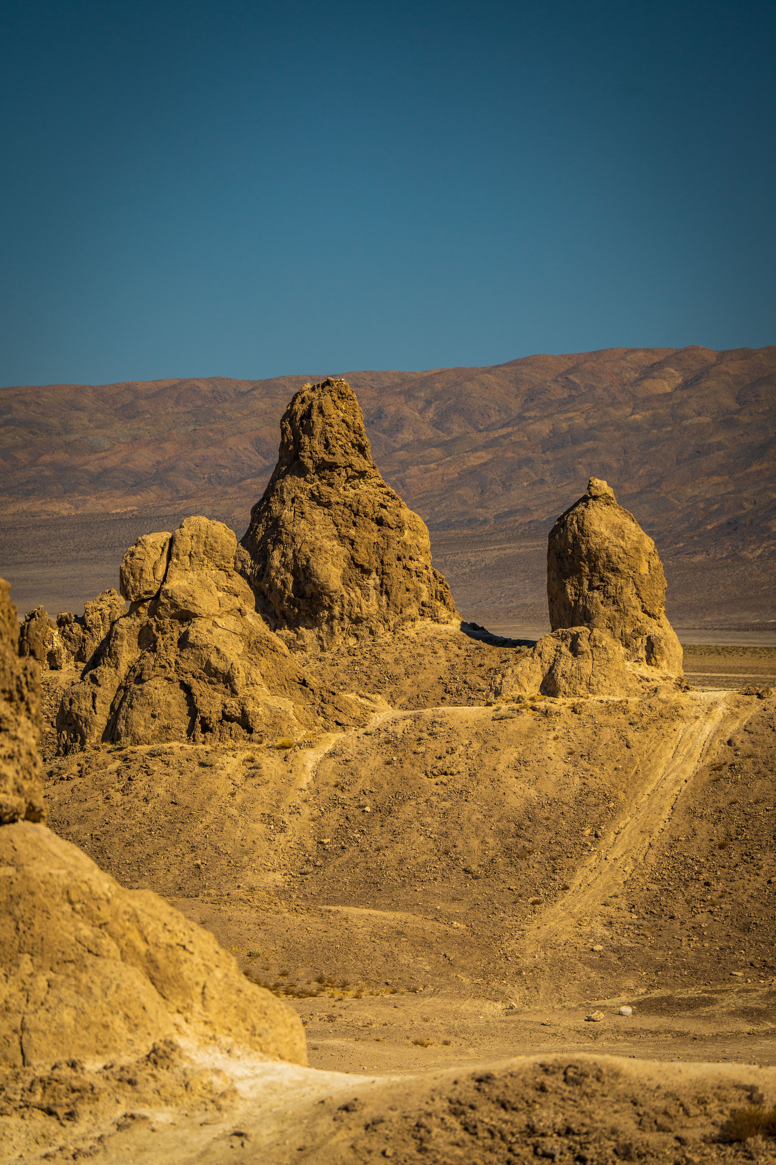 trona_2.jpeg