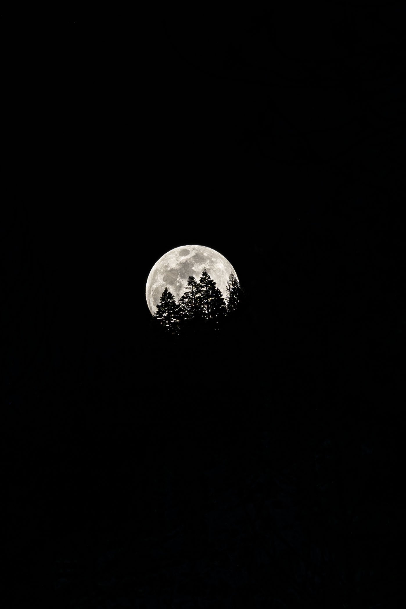 yosemite moon favorite.jpeg