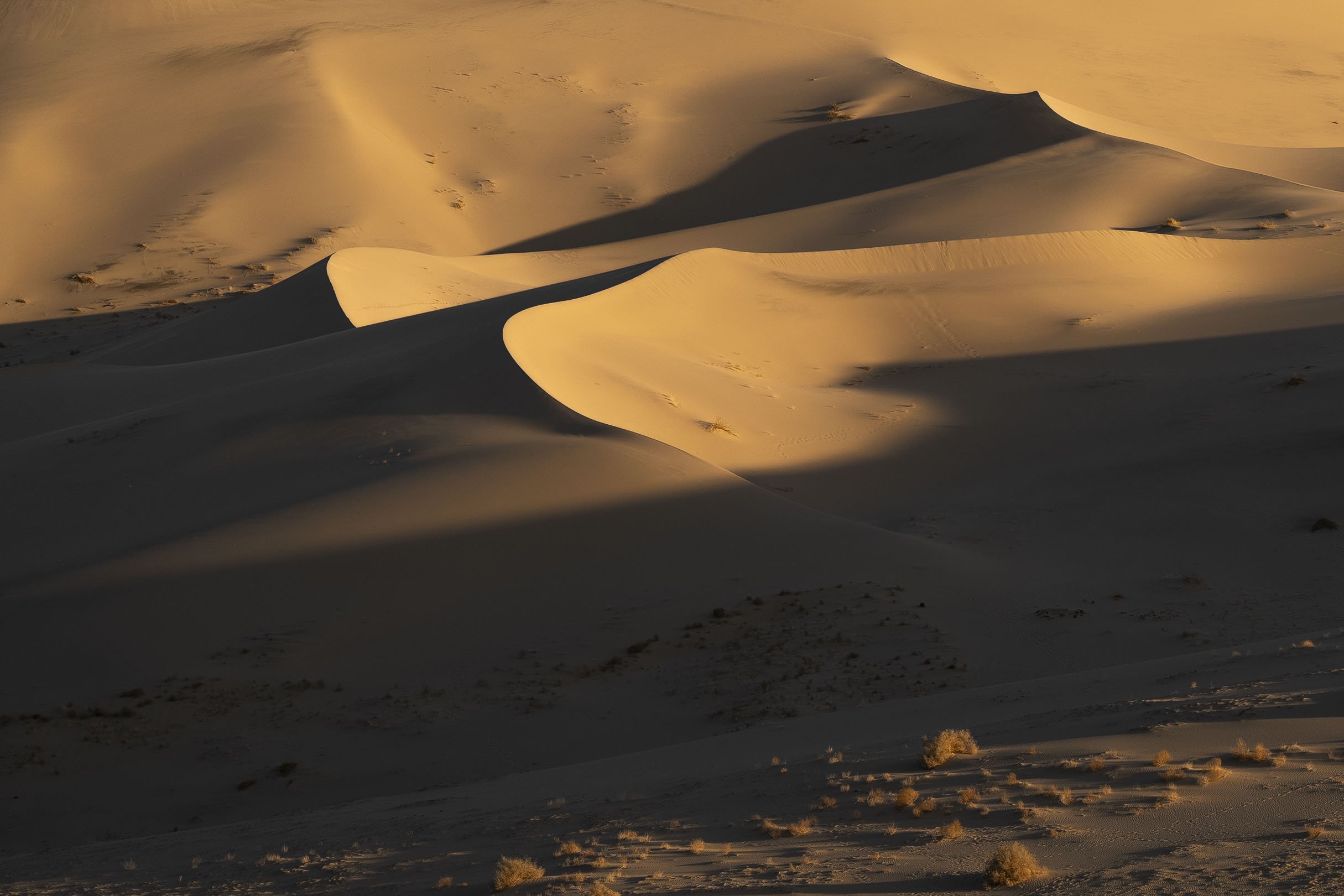 dunes _22.jpeg