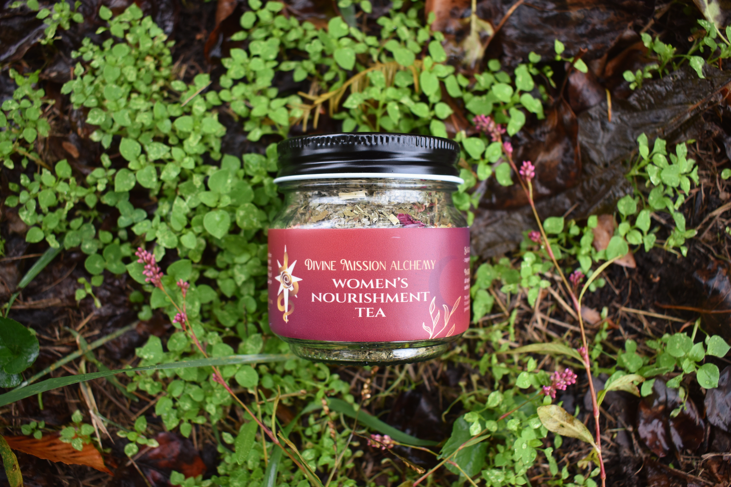 Untitled design (2).png