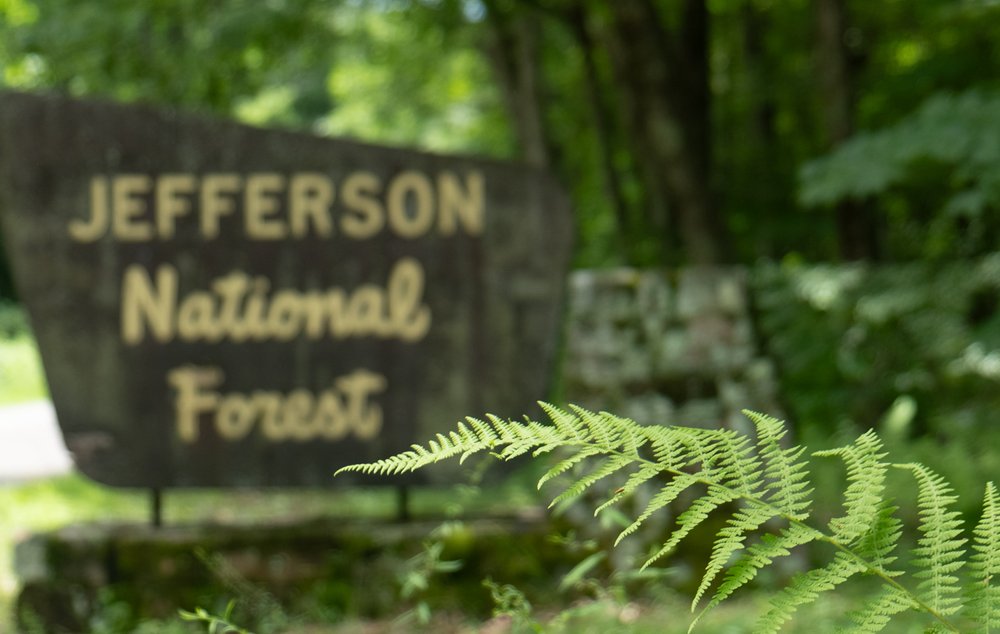 Jefferson National Forest sign.jpg