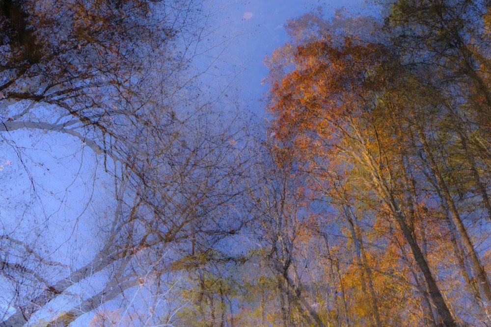 double exposure reflections in water-2.jpg