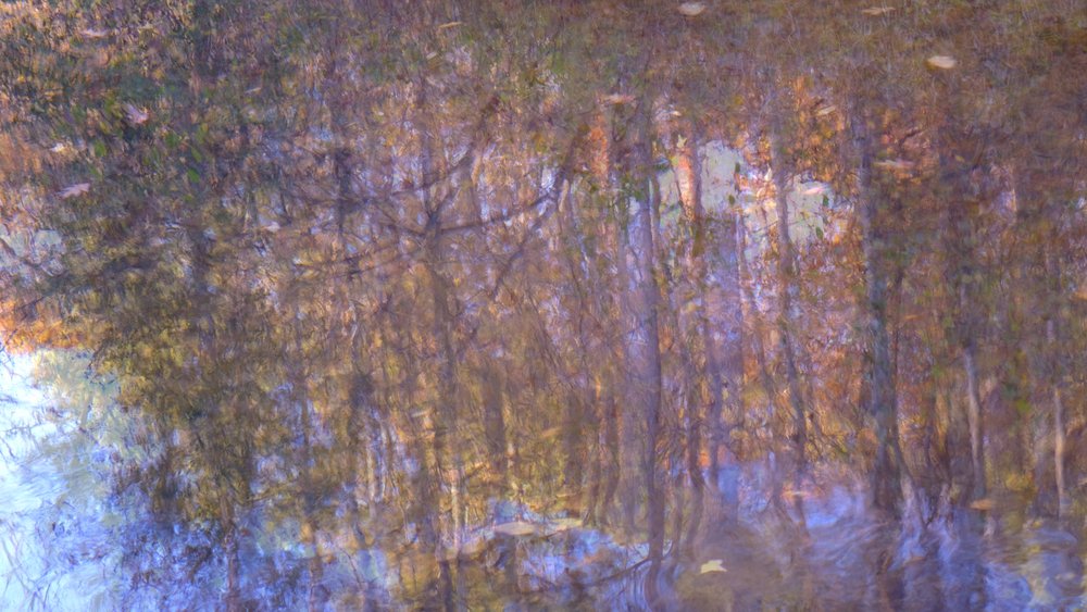 double exposure reflections in water.jpg
