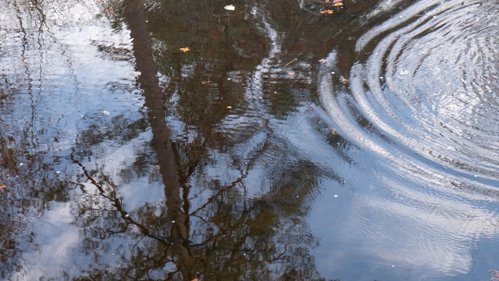 ripples in creek water reflections.jpg