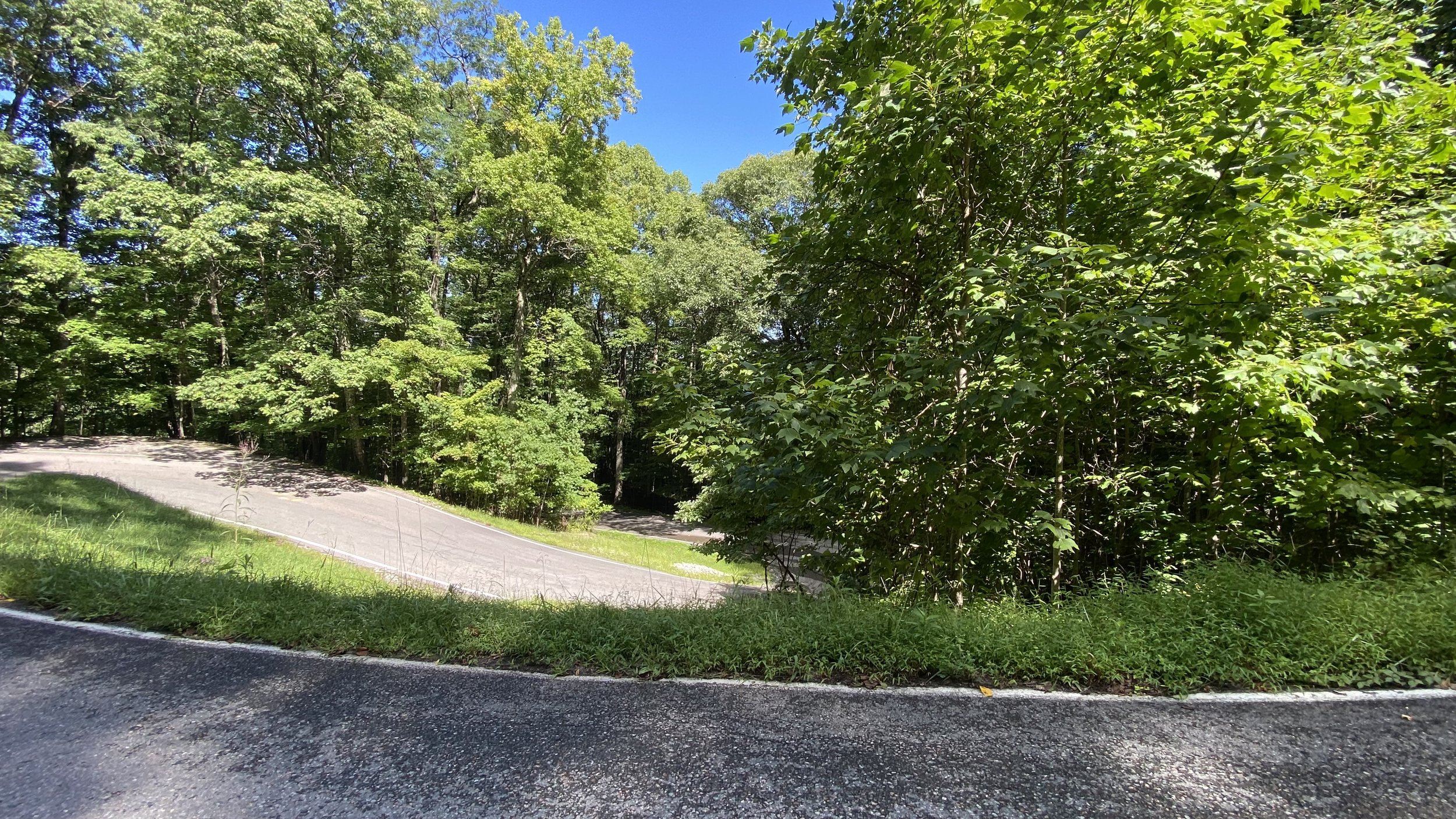 switchback circle.jpg