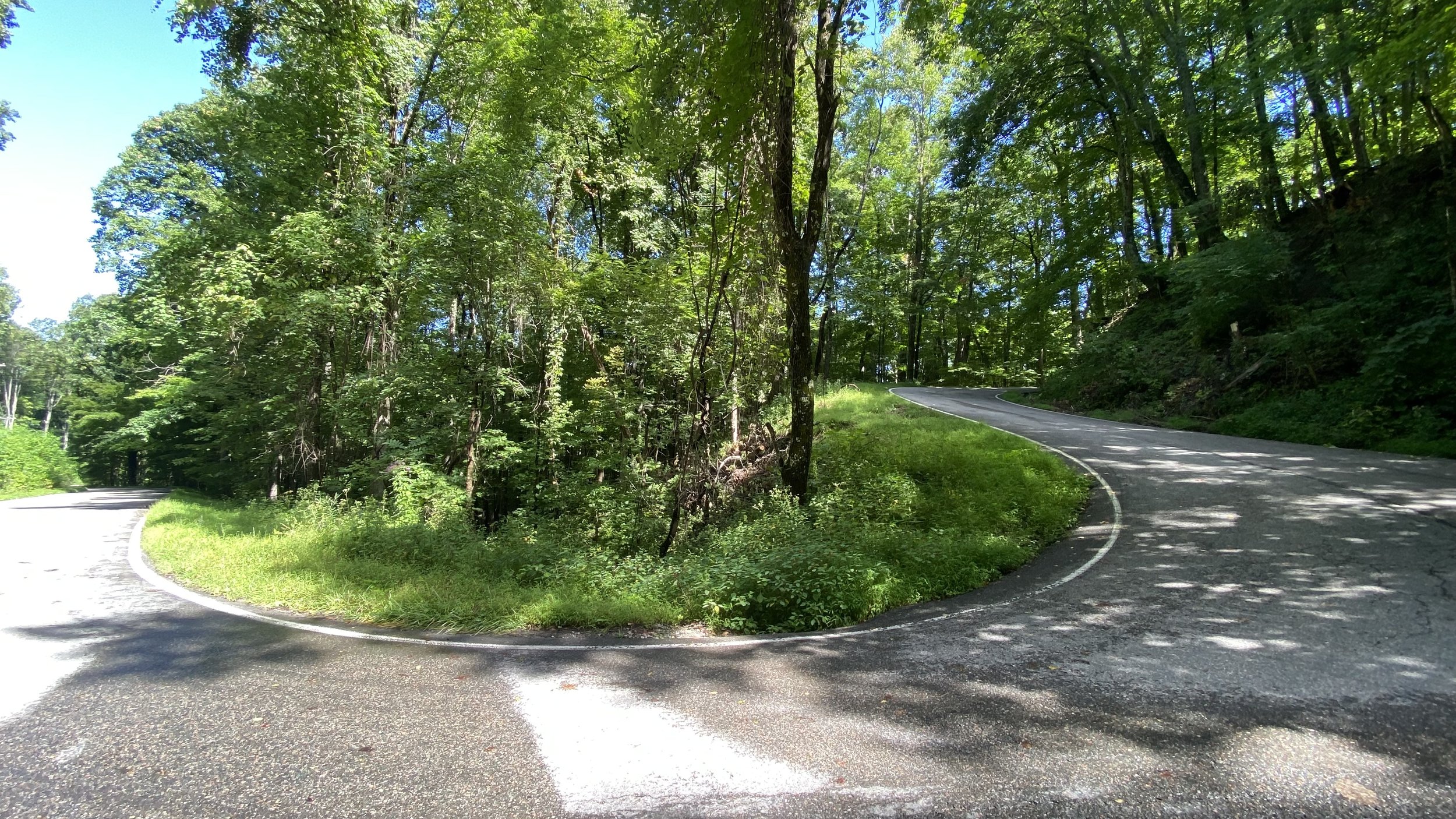 switchback.jpg