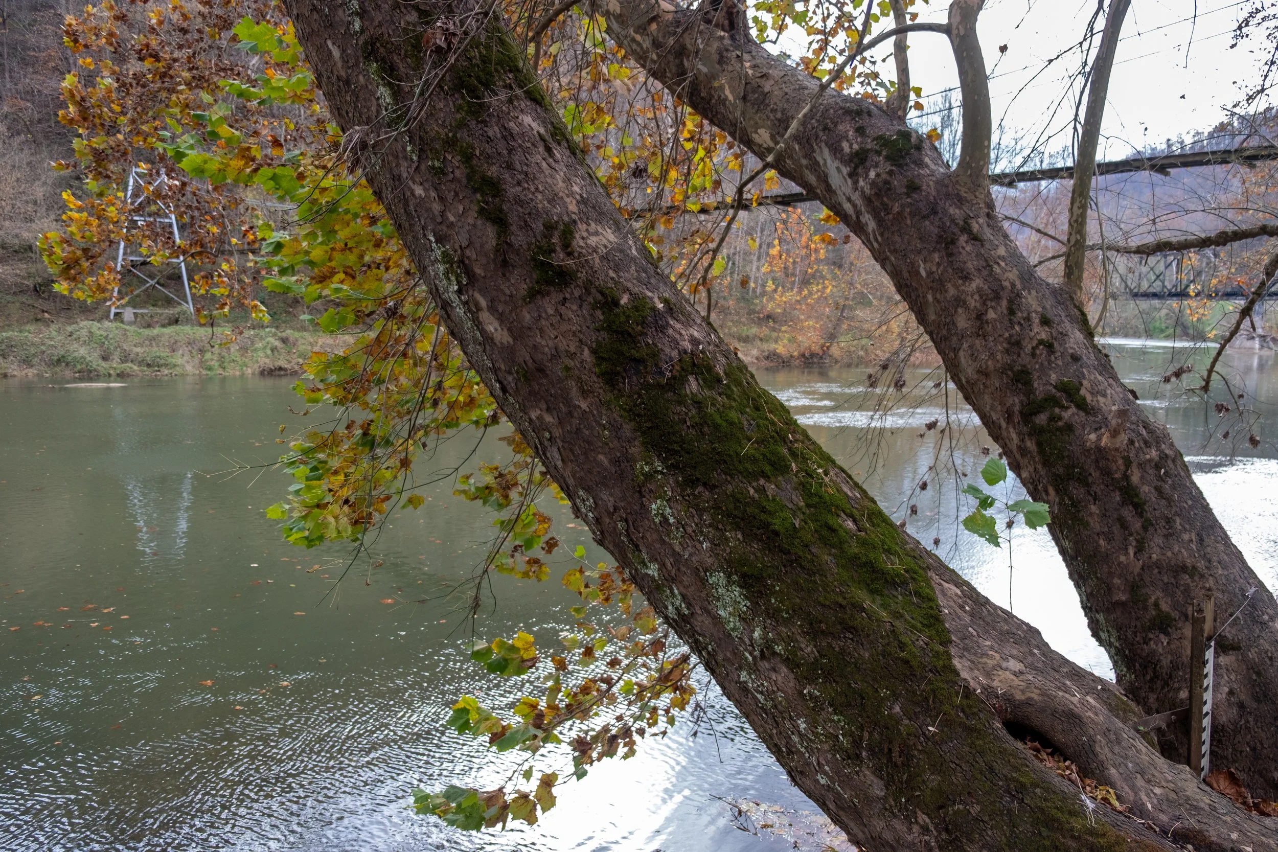 Clinchport swinging bridge for video.jpg