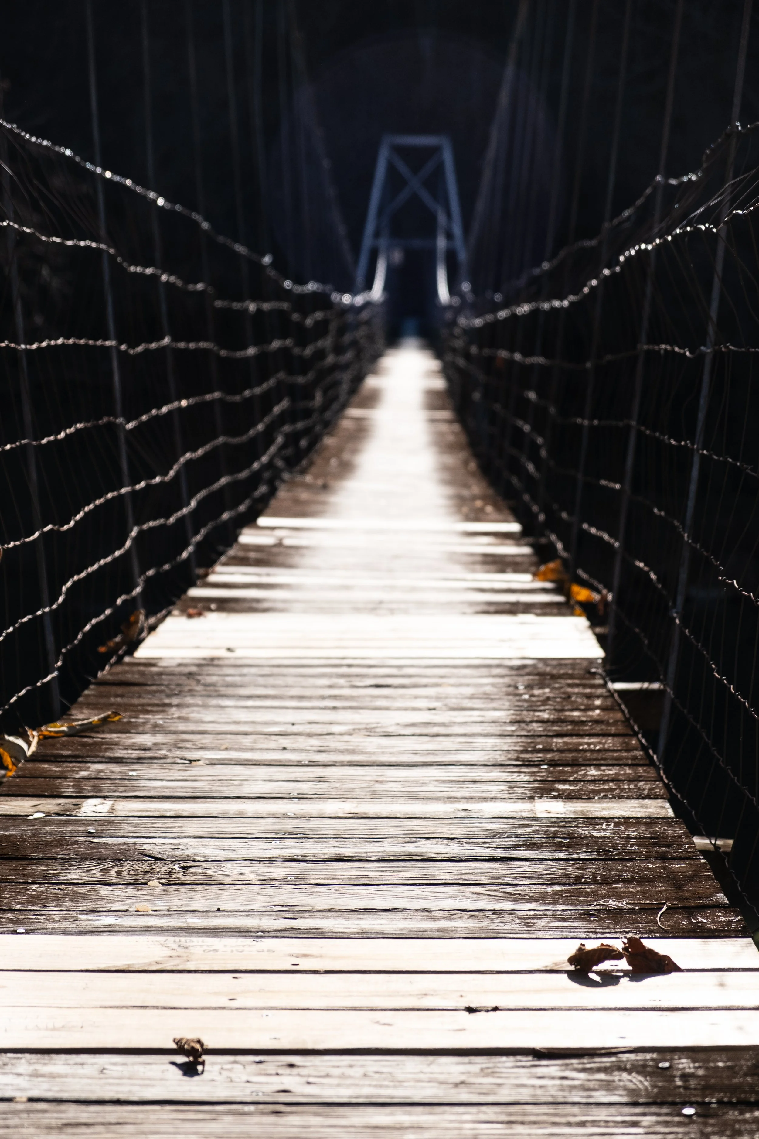 Clinchport swinging bridge for video-7.jpg