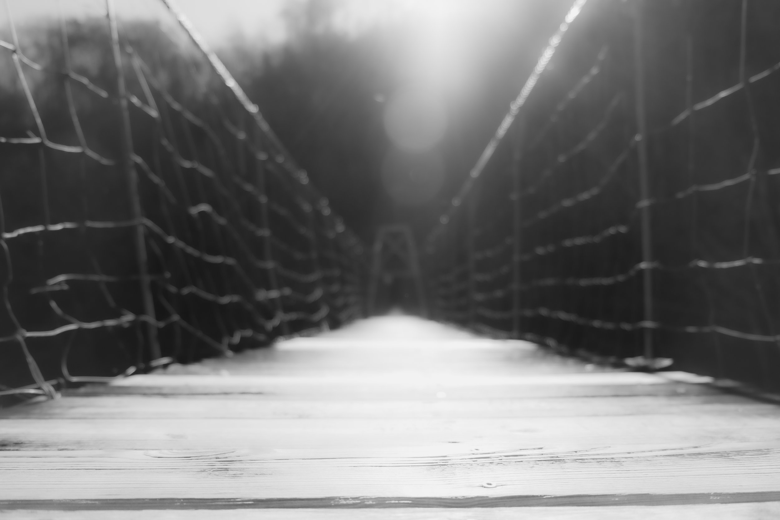 Clinchport swinging bridge for video-20.jpg
