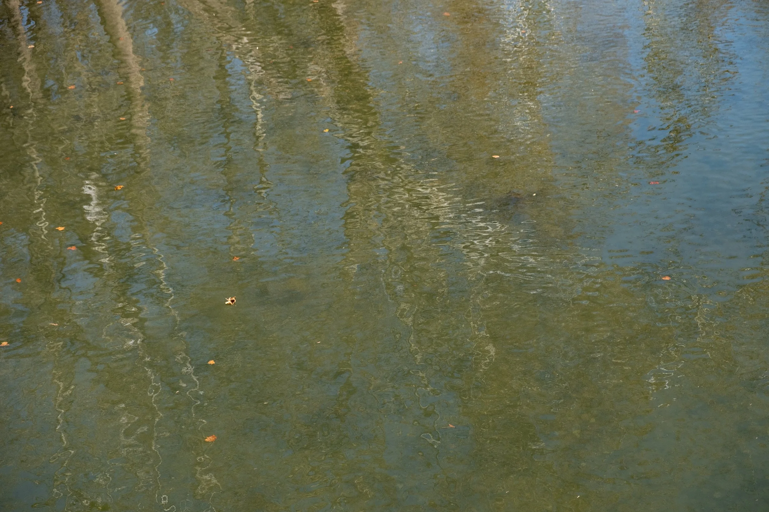Clinchport swinging bridge for video-19.jpg