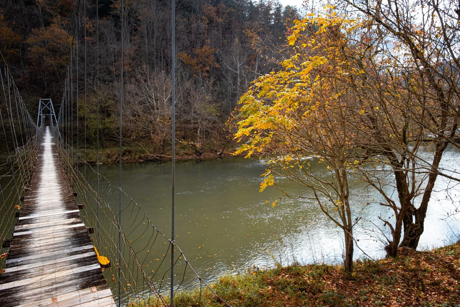 bridge photo for kinship-2.jpg