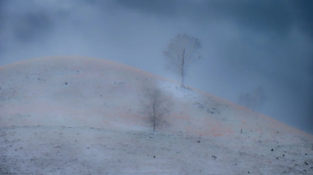 southwest virginia 2025_Dixon.jpg