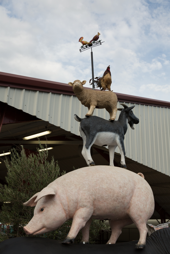 Screenshot 2024-02-08 135831.PNG