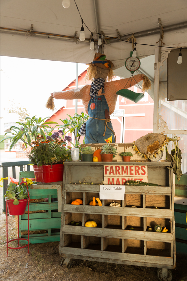 Screenshot 2024-02-08 134701.PNG