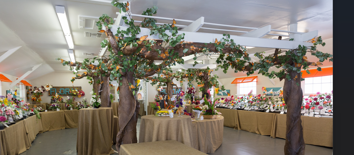 Screenshot 2024-02-08 135142.PNG