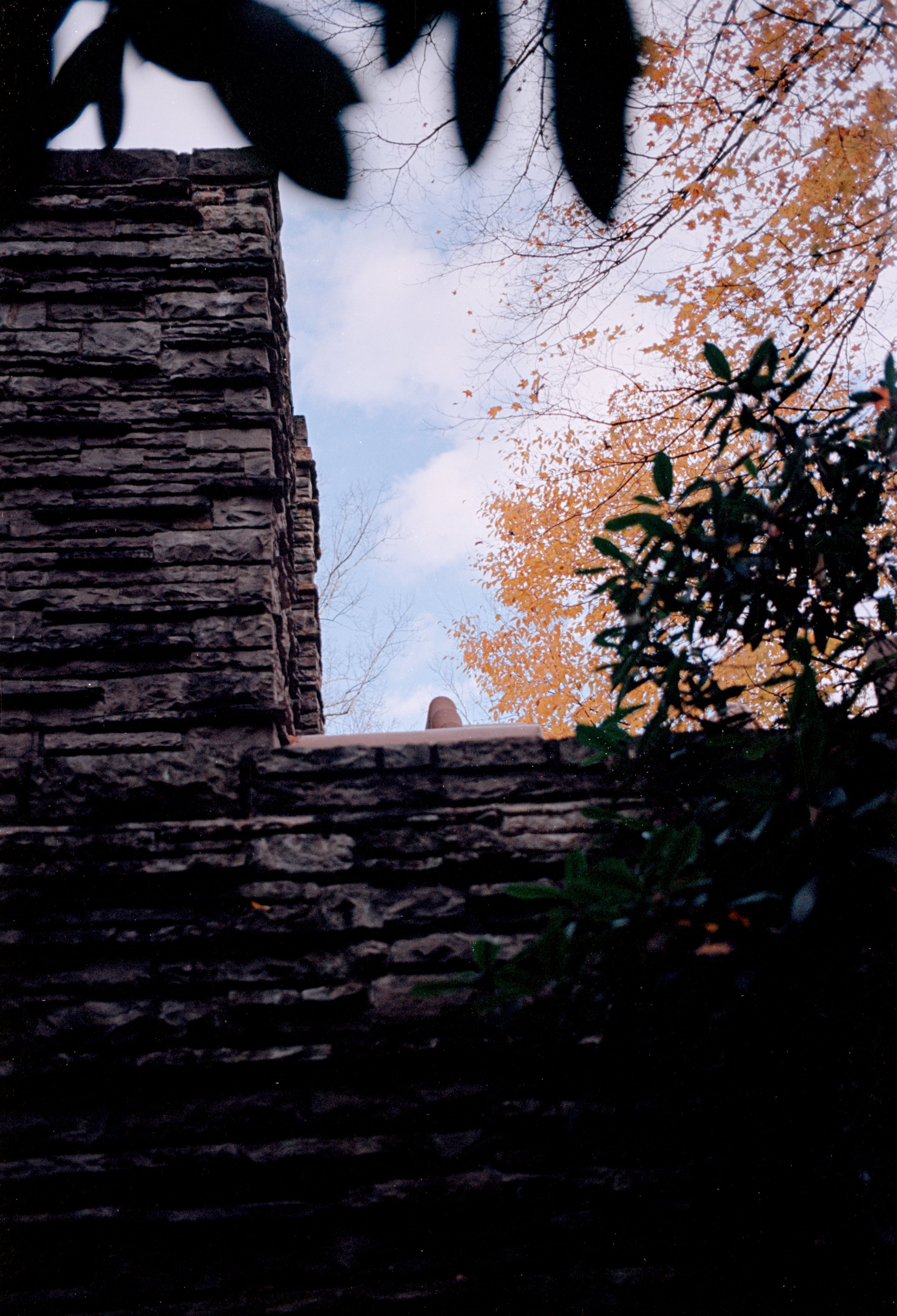 Ektar 1 (21).jpg
