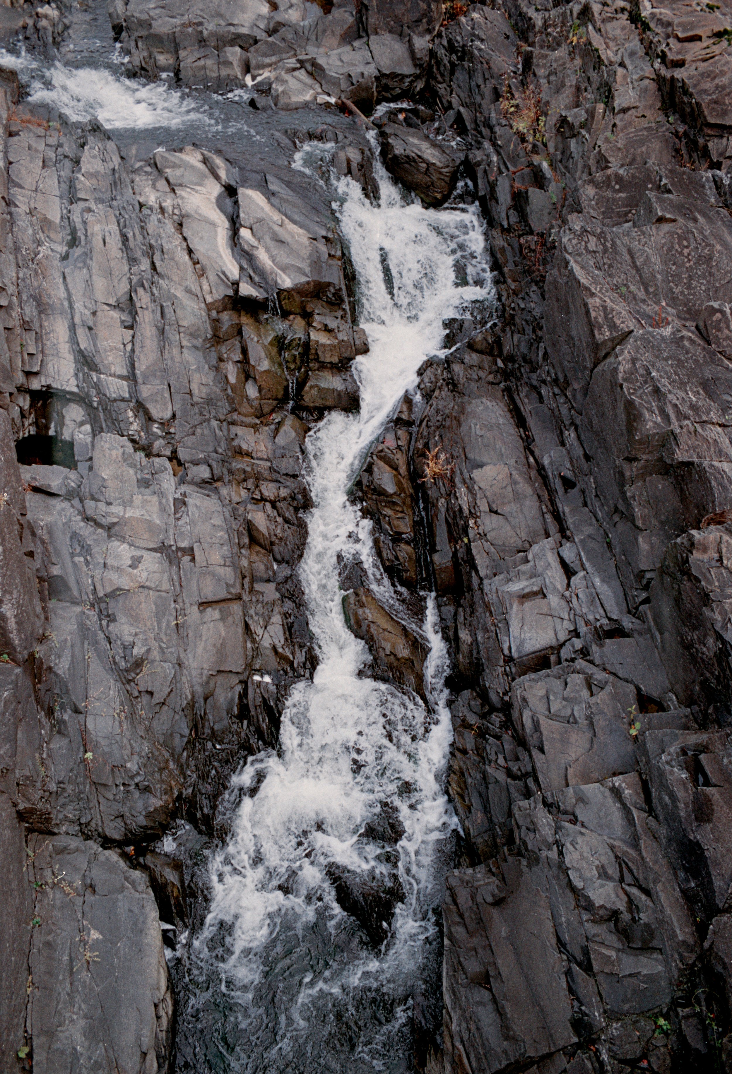 Pro 100 1 (36).jpg
