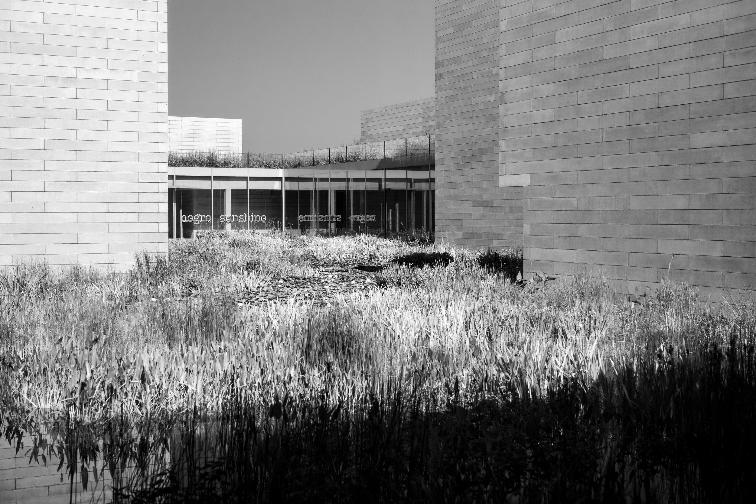 L1005994.jpg