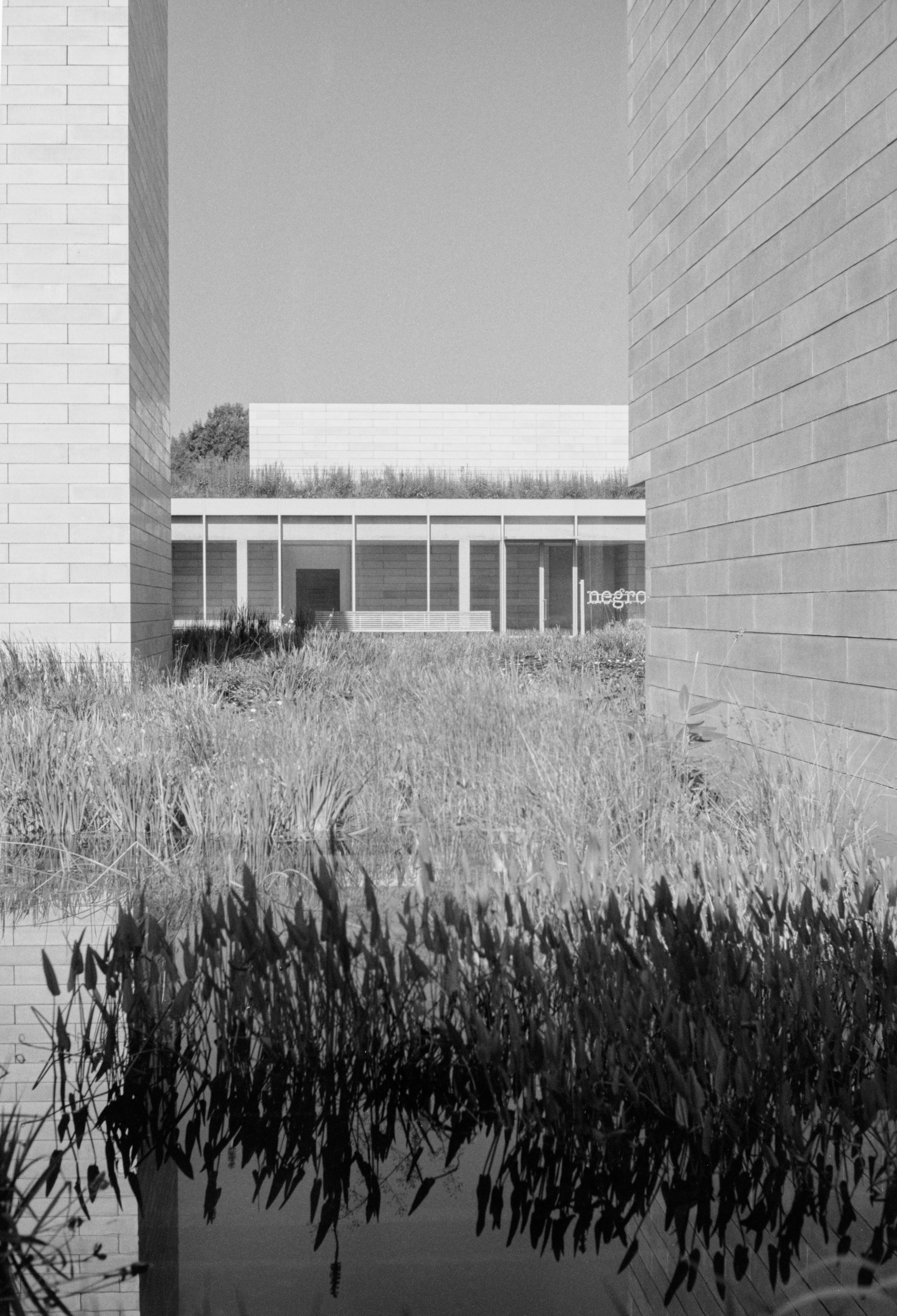 Acros 1 (11).jpg