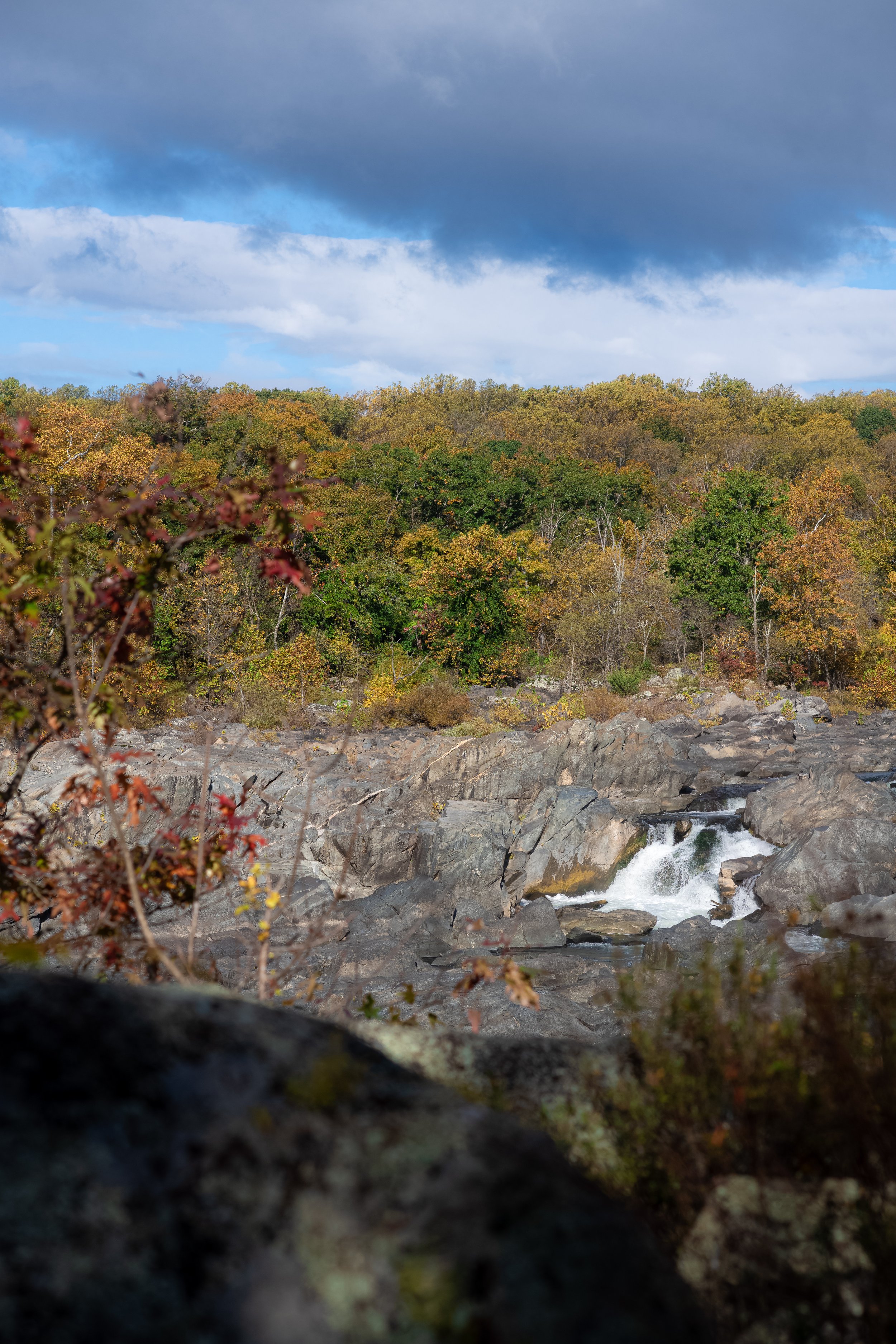 L1021340.jpg