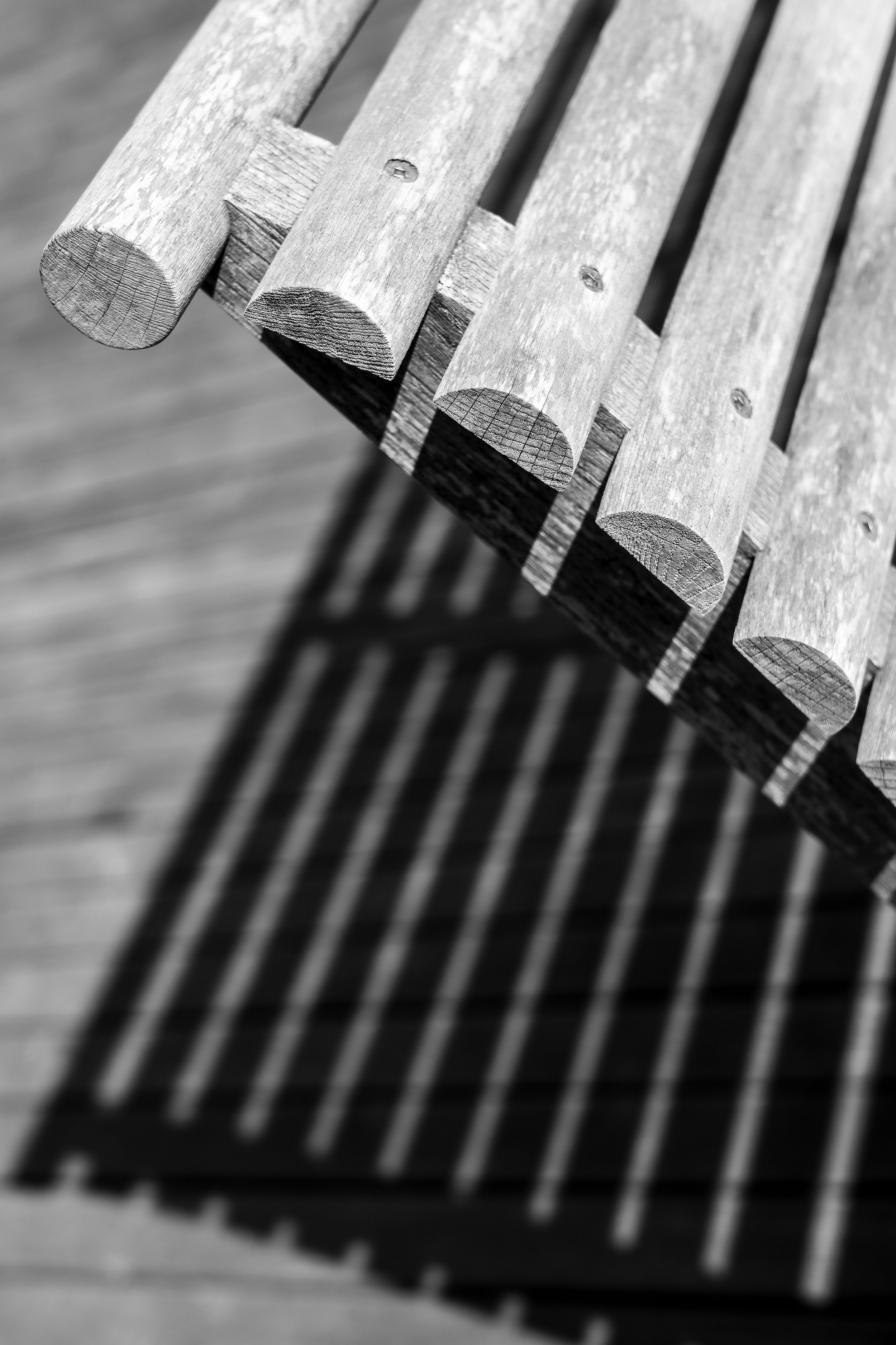 L1006022-2.jpg