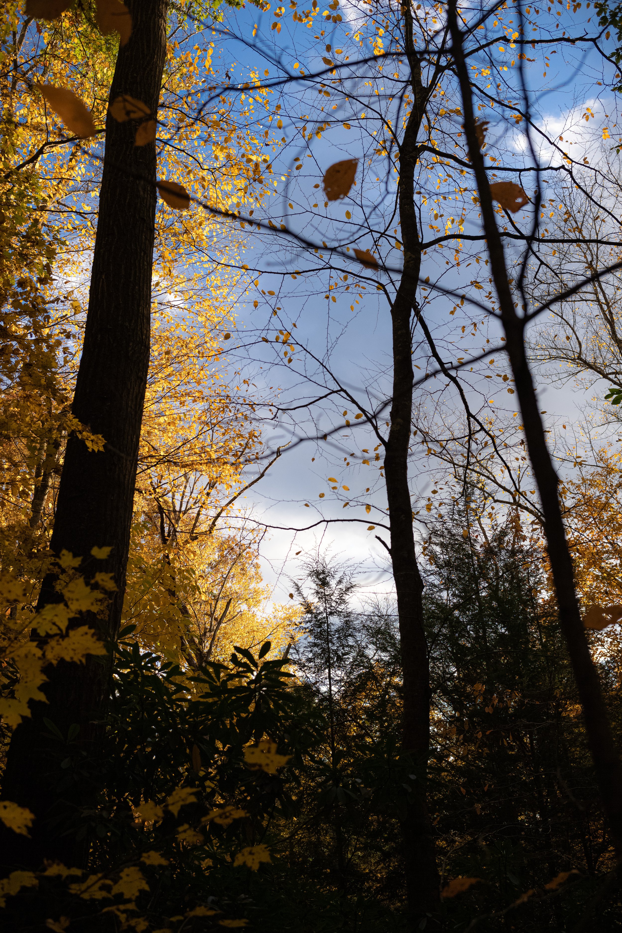 L1021724.jpg
