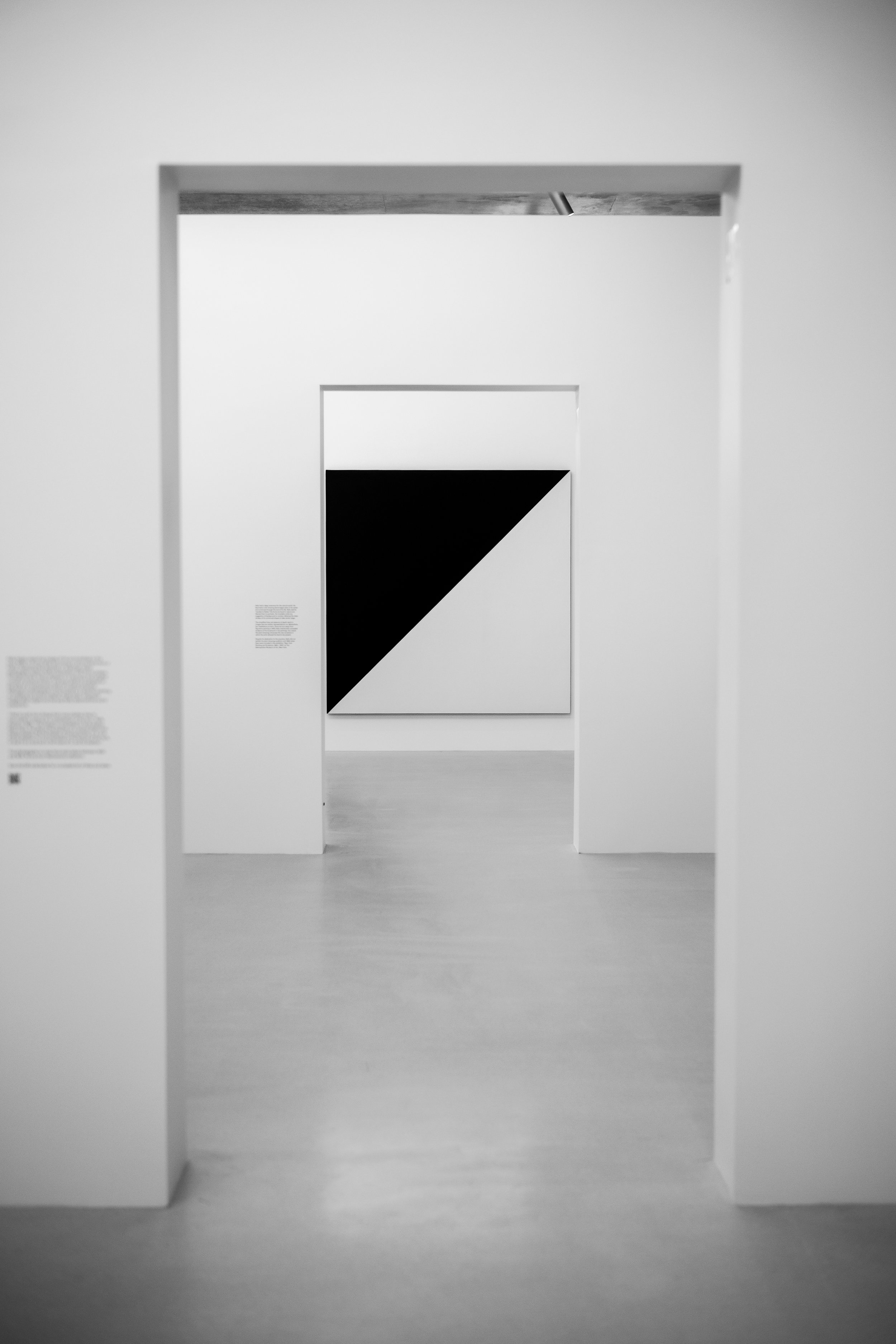 L1006006-2.jpg