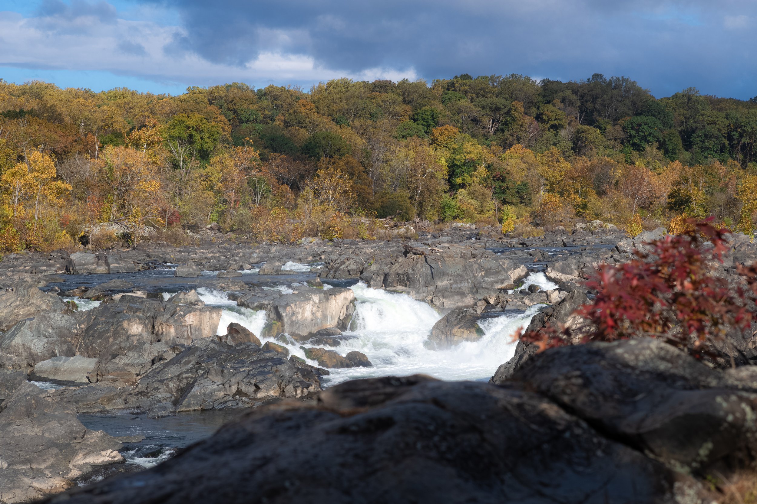 L1021345.jpg