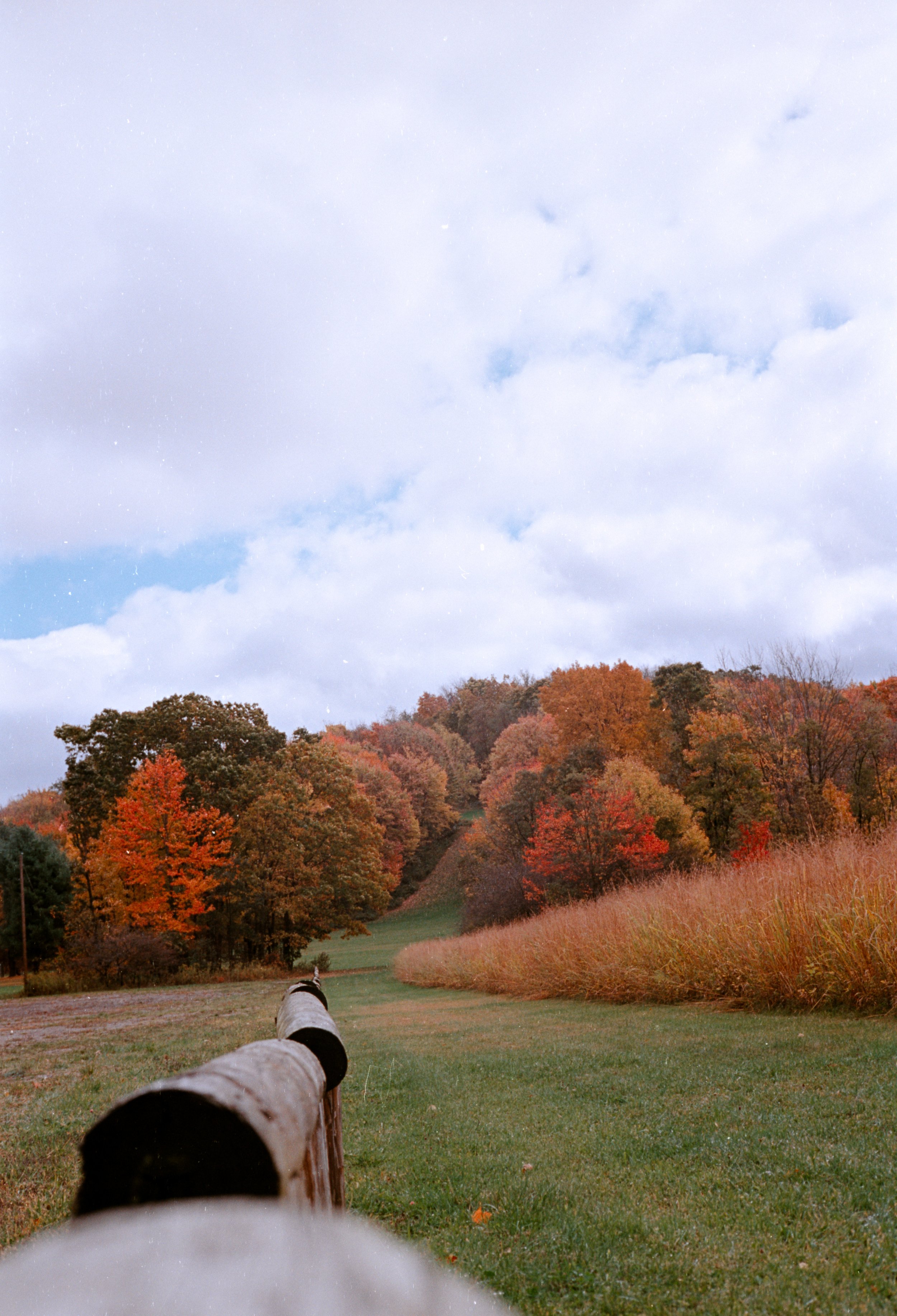Ektar 1 (02).jpg
