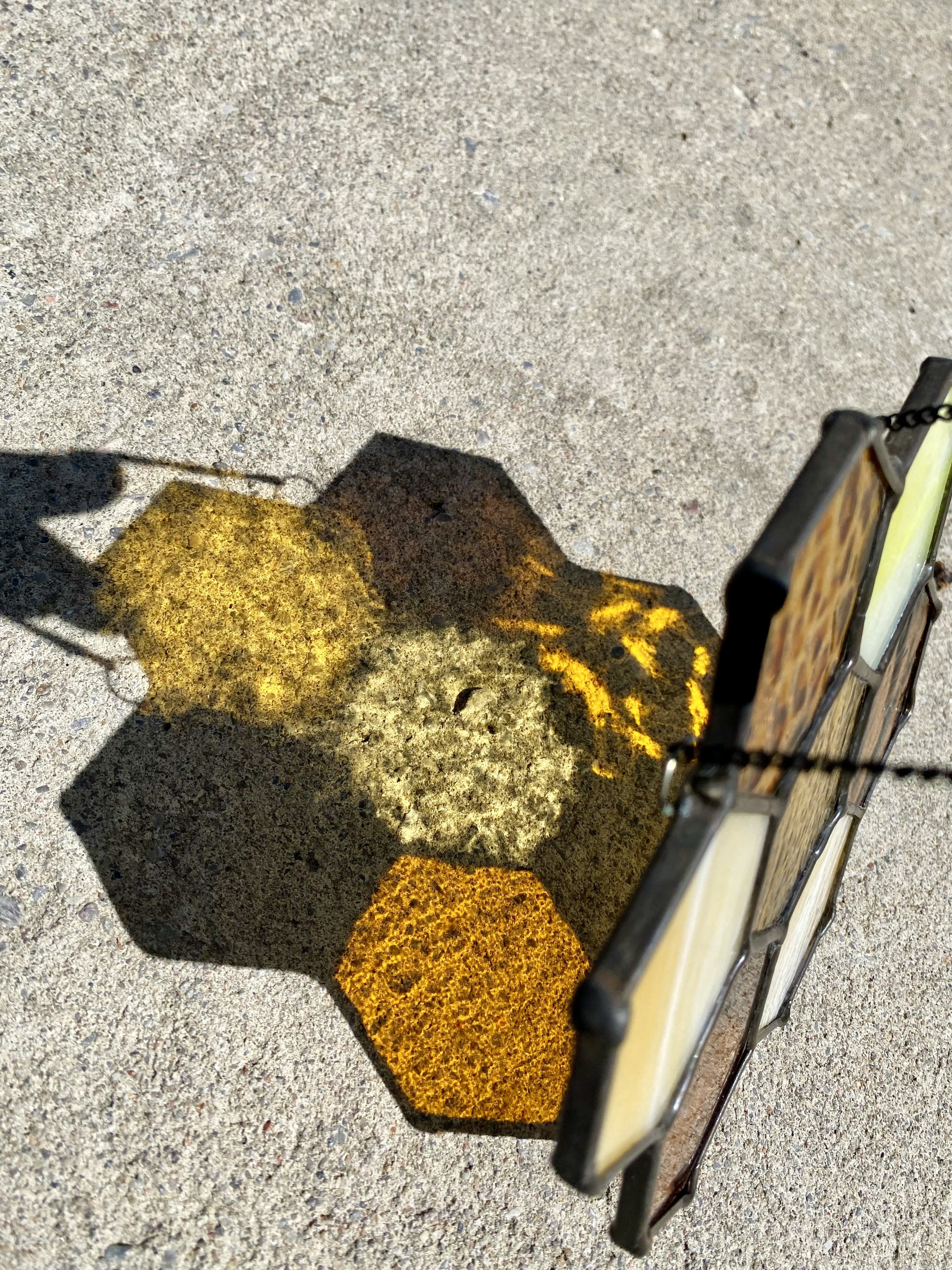 537638E5-9CE8-4F52-B6E0-55567AF7008F.jpeg