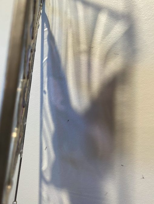 Screen Shot 2026-03-22 at 3.46.28 PM.png