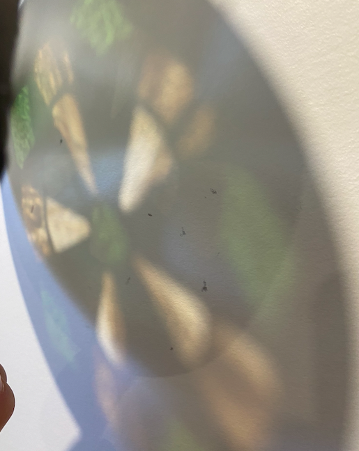 Screen Shot 2026-03-22 at 3.44.00 PM.png