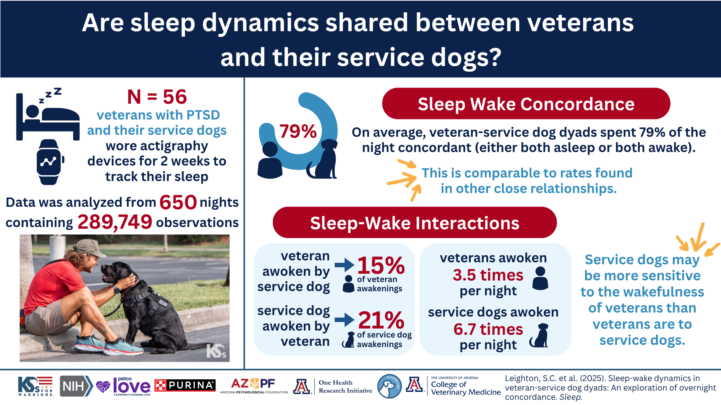 Graphical abstract: Overnight sleep-wake dynamics in veteran-service dog dyads