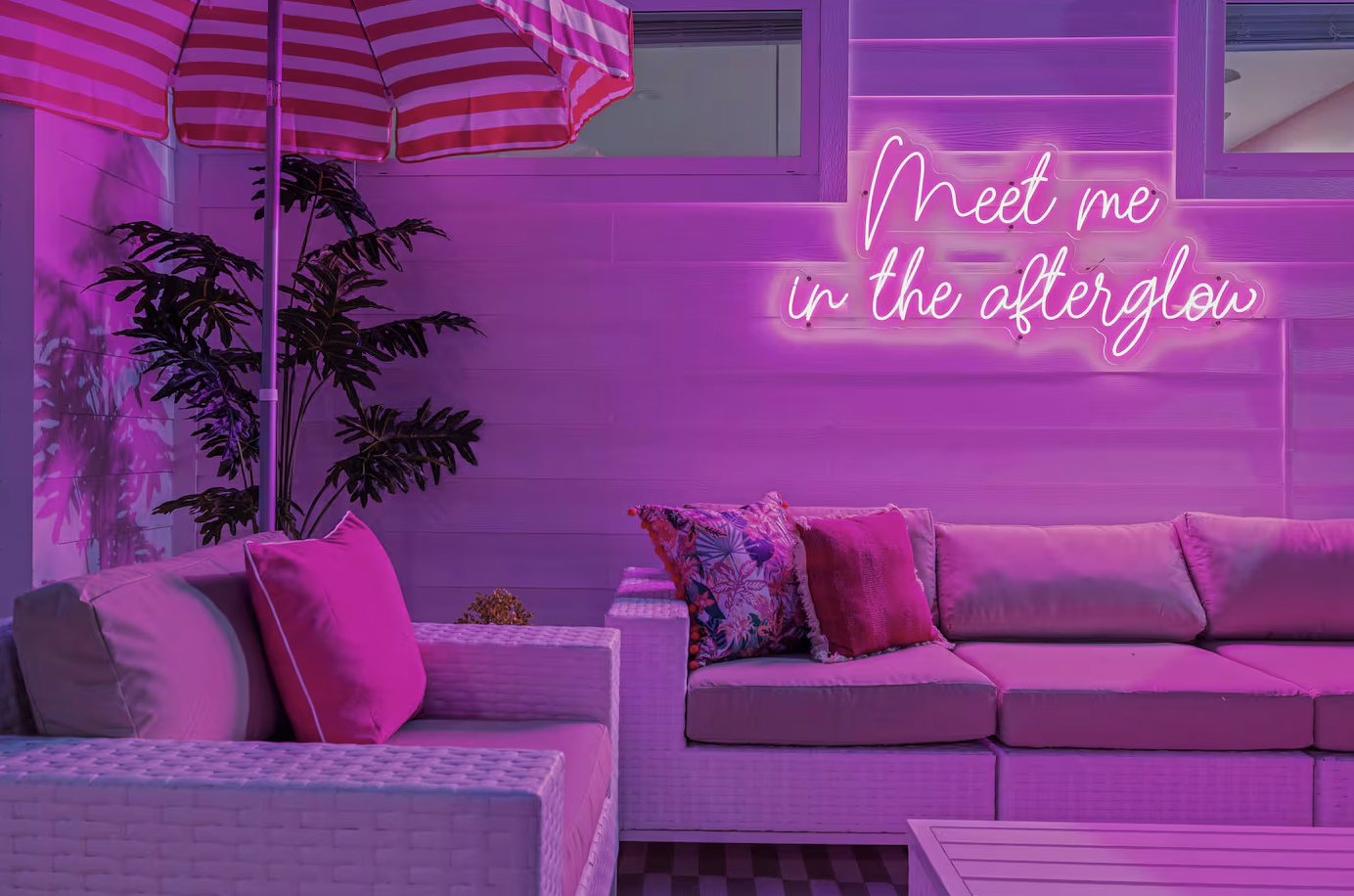 Screen Shot 2026-02-03 at 9.41.21 AM.png