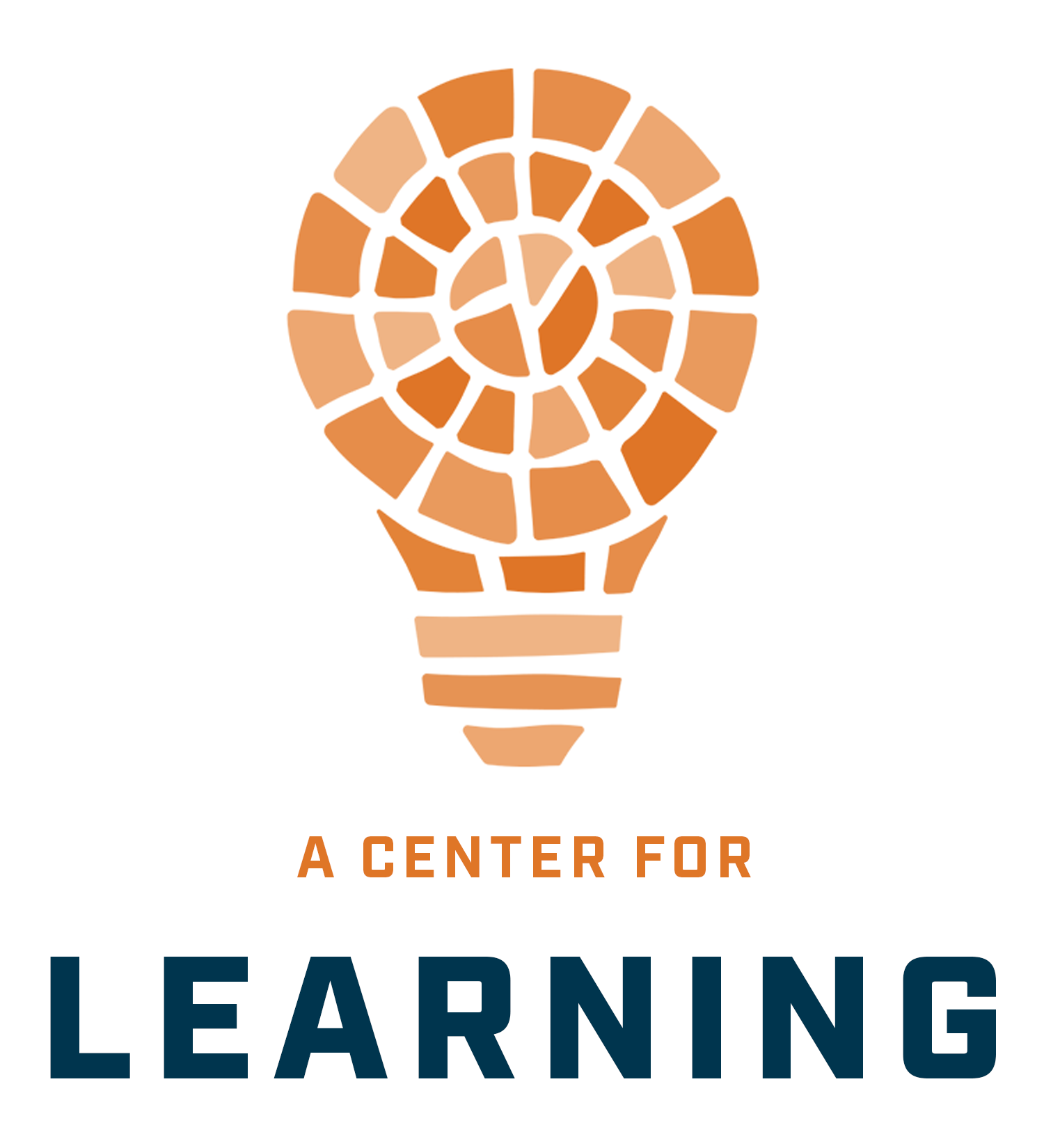 Our Work — Mosaic Center for Work, Life + Learning
