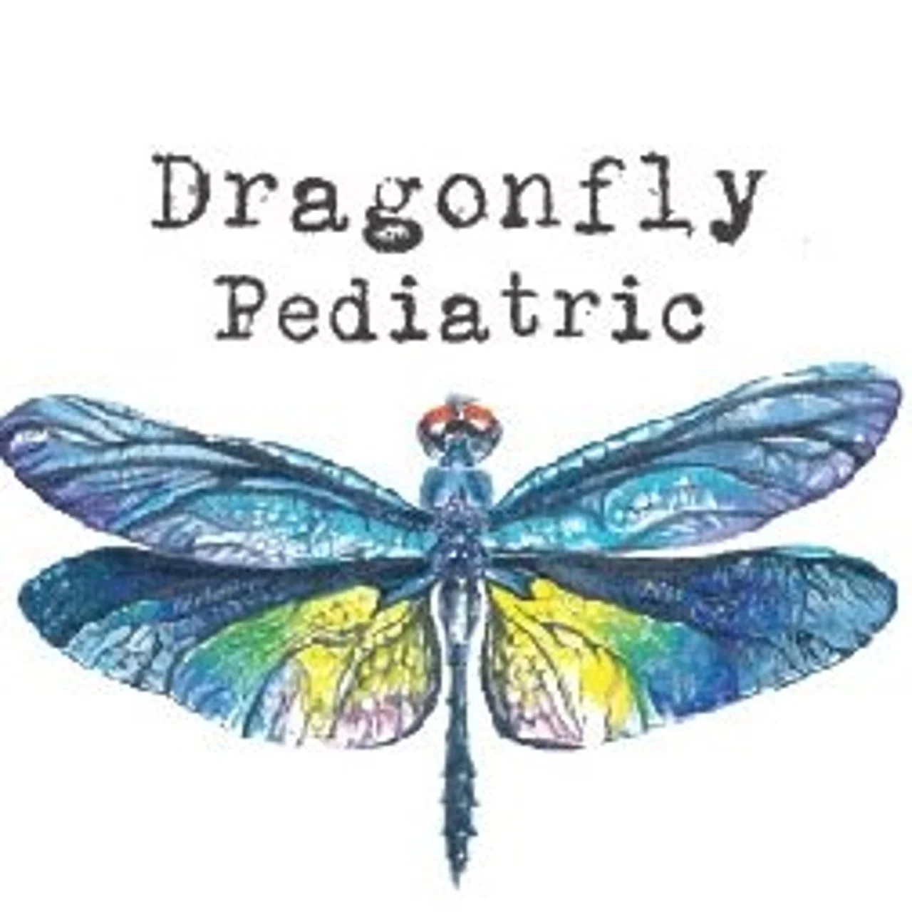 Dragonfly Pediatric Speech Therapy