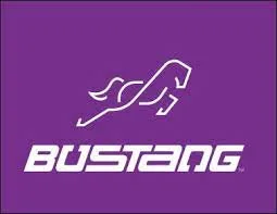 Bustang