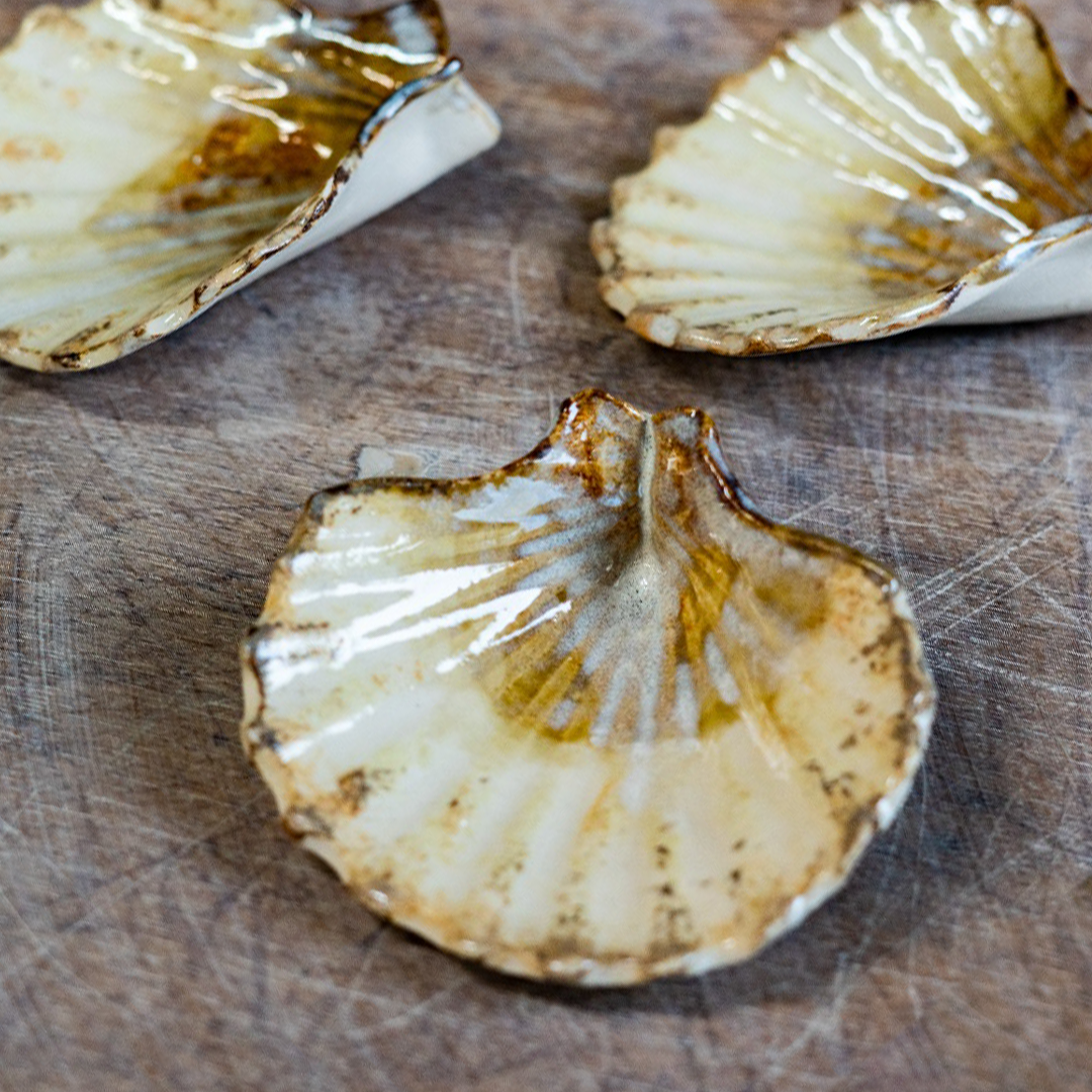 IRH-scallop-shell-beach-2.png