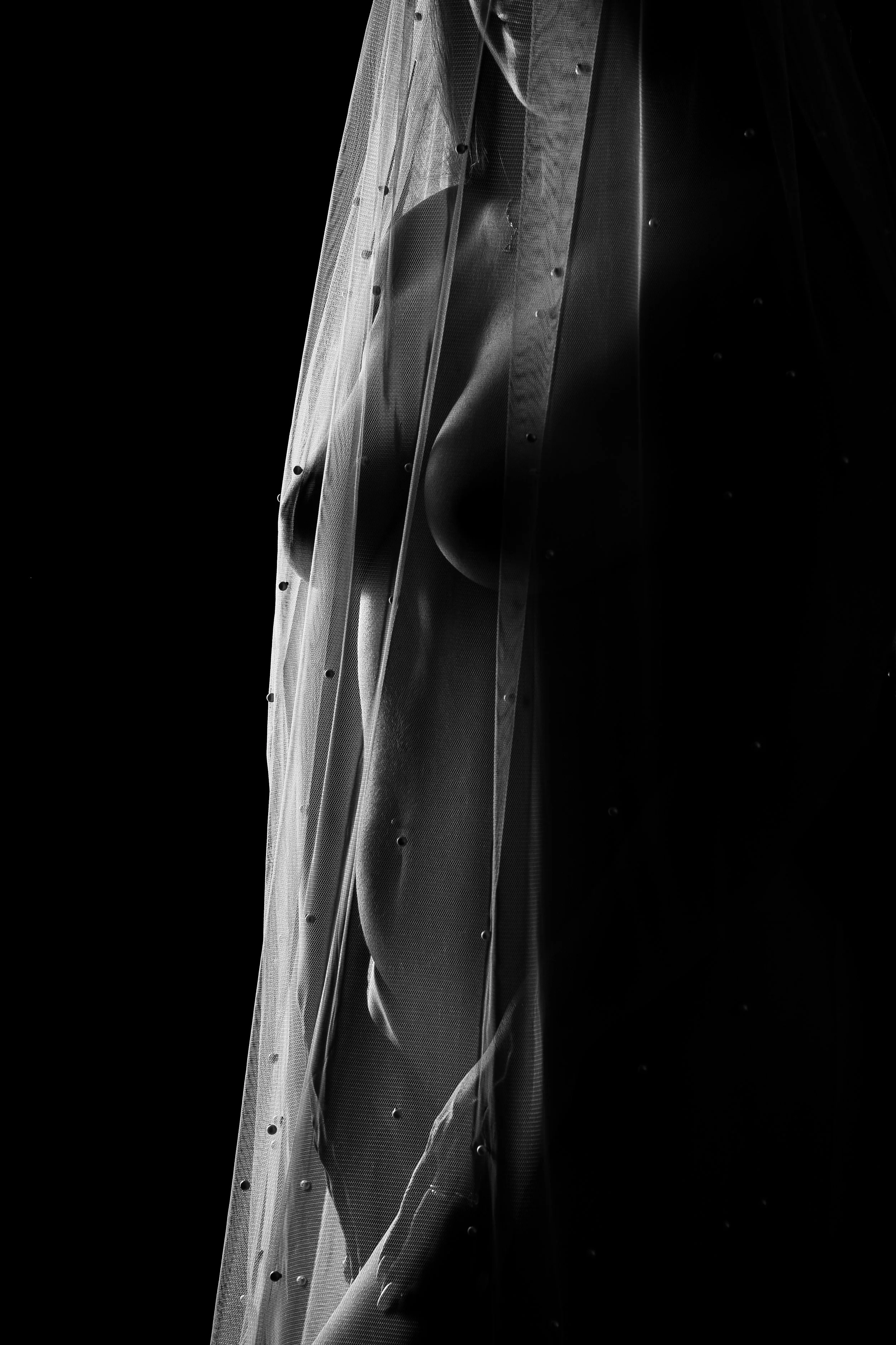 DSC03975-2.jpg