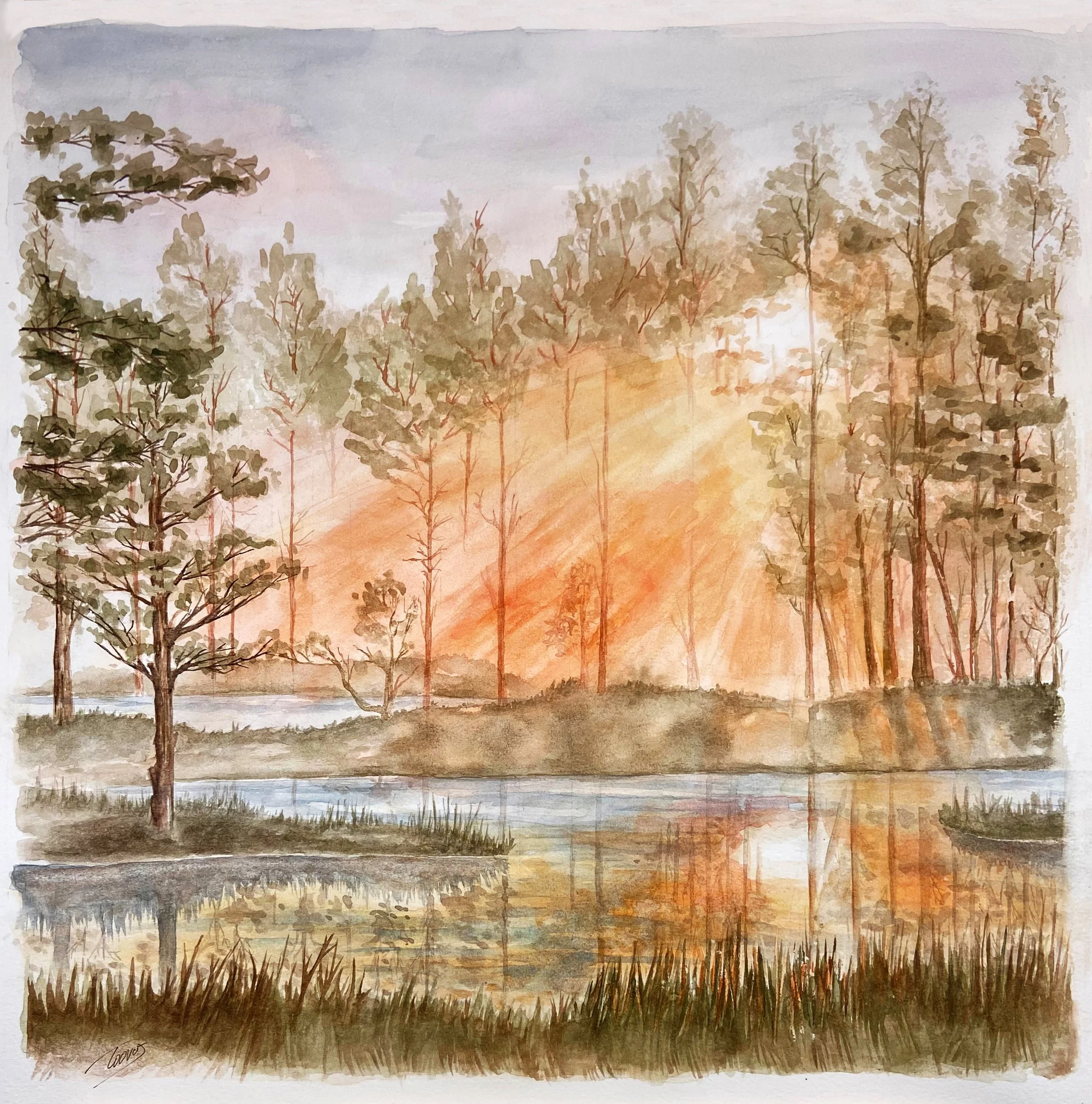 Sunlit Harmony (Watercolor)  20x20   2023